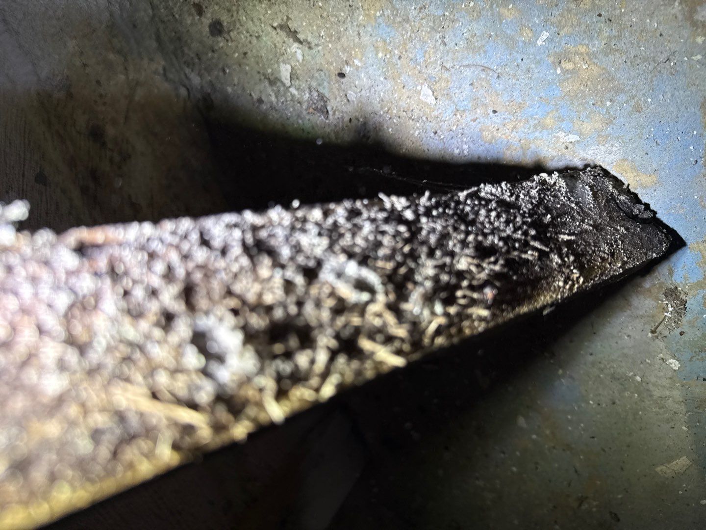 Post‑Remediation Clearance Test & Corrective Mold Remediation, Dover, DE. by Healthy Home Solutions