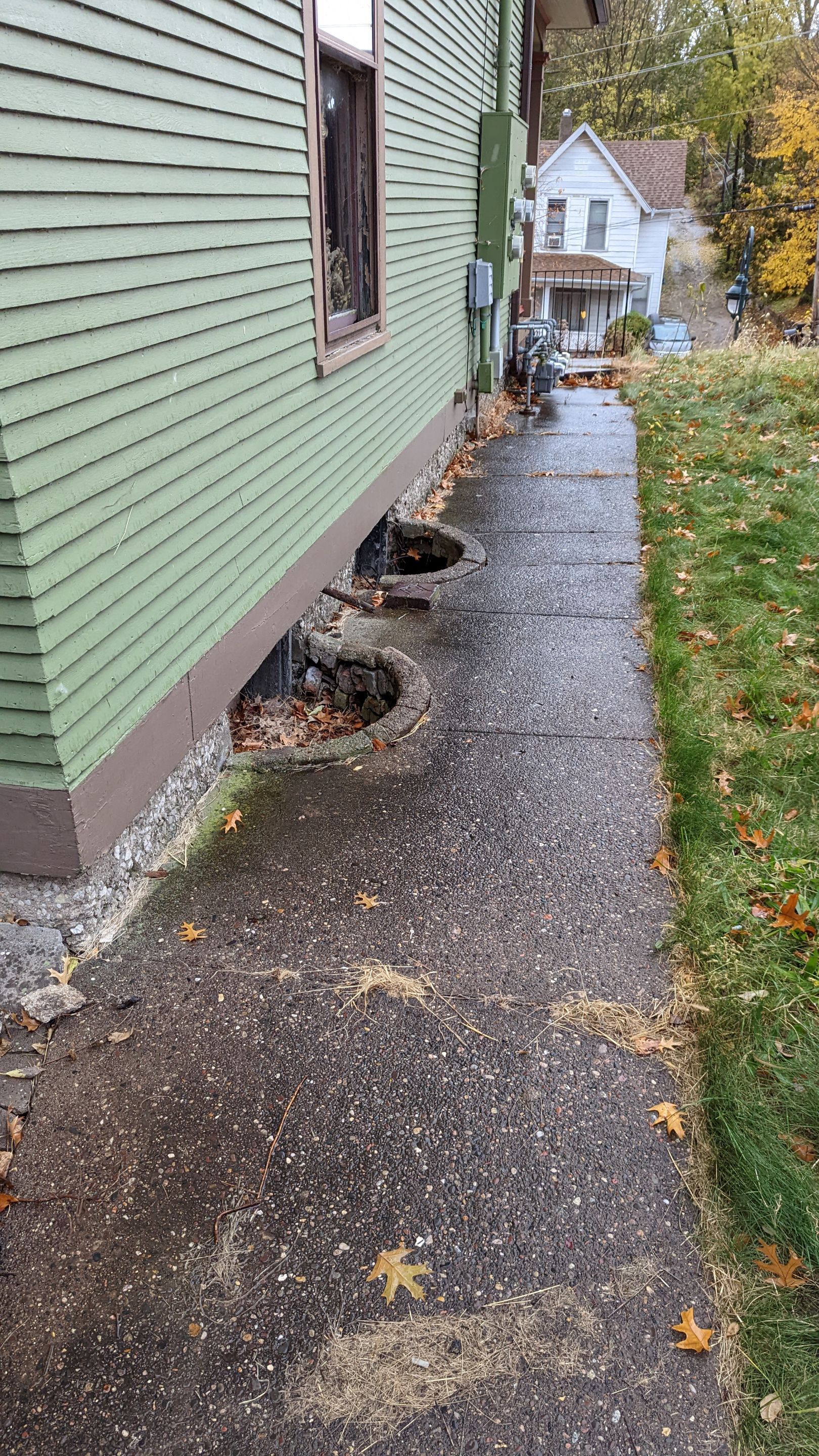 Carbon fiber and historical restoration. by ACE Waterproofing & Basement Solutions