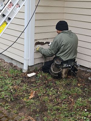 Siding | Andover