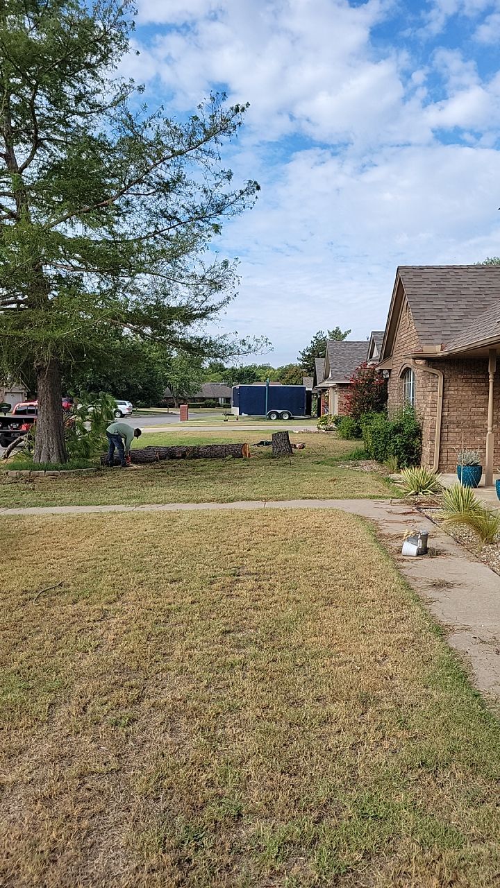 Tree removal , Concrete, Pergola, and sod install  by Clays Services Inc