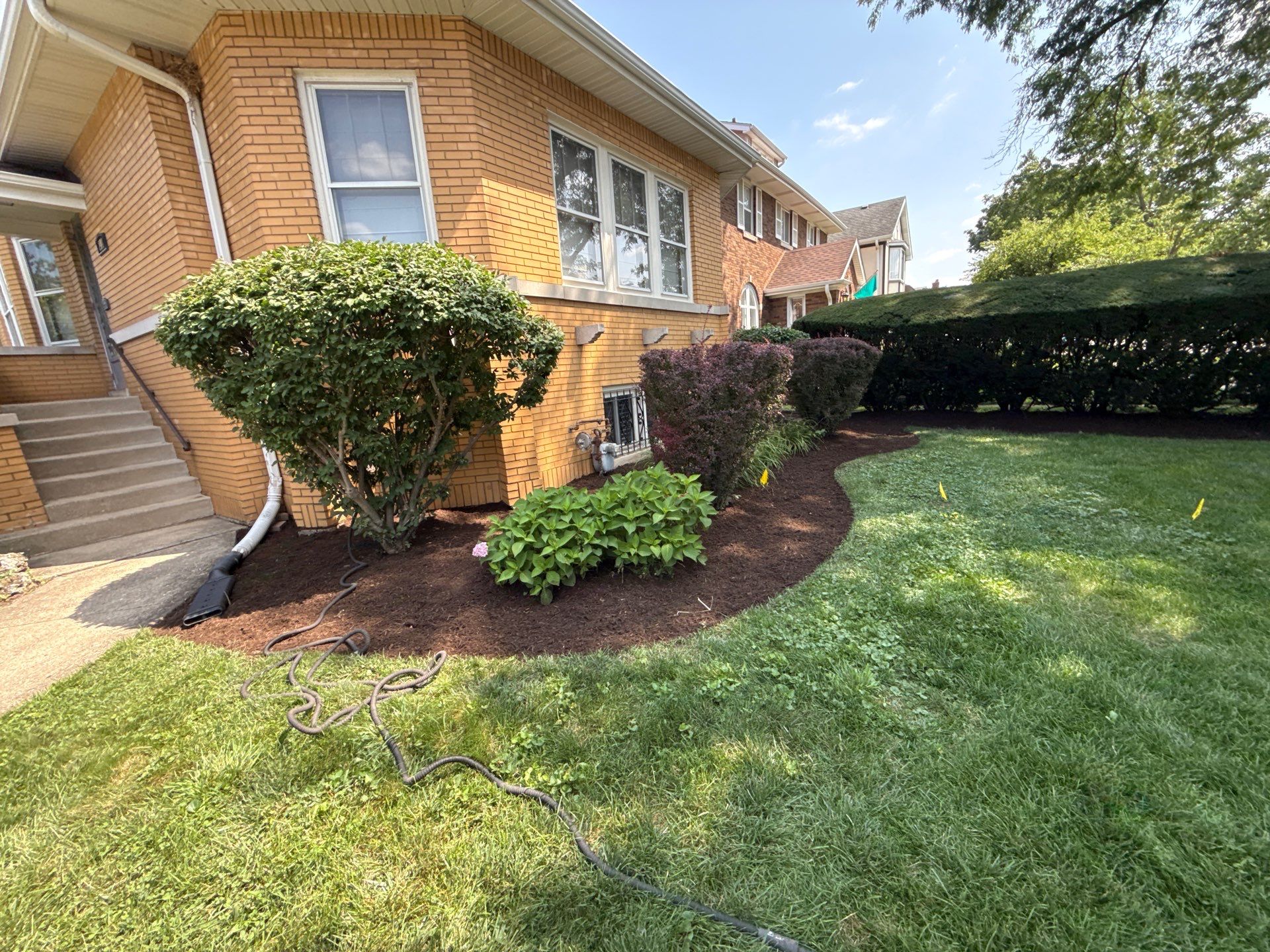 Nancy M. - Park Ridge, IL by A&N