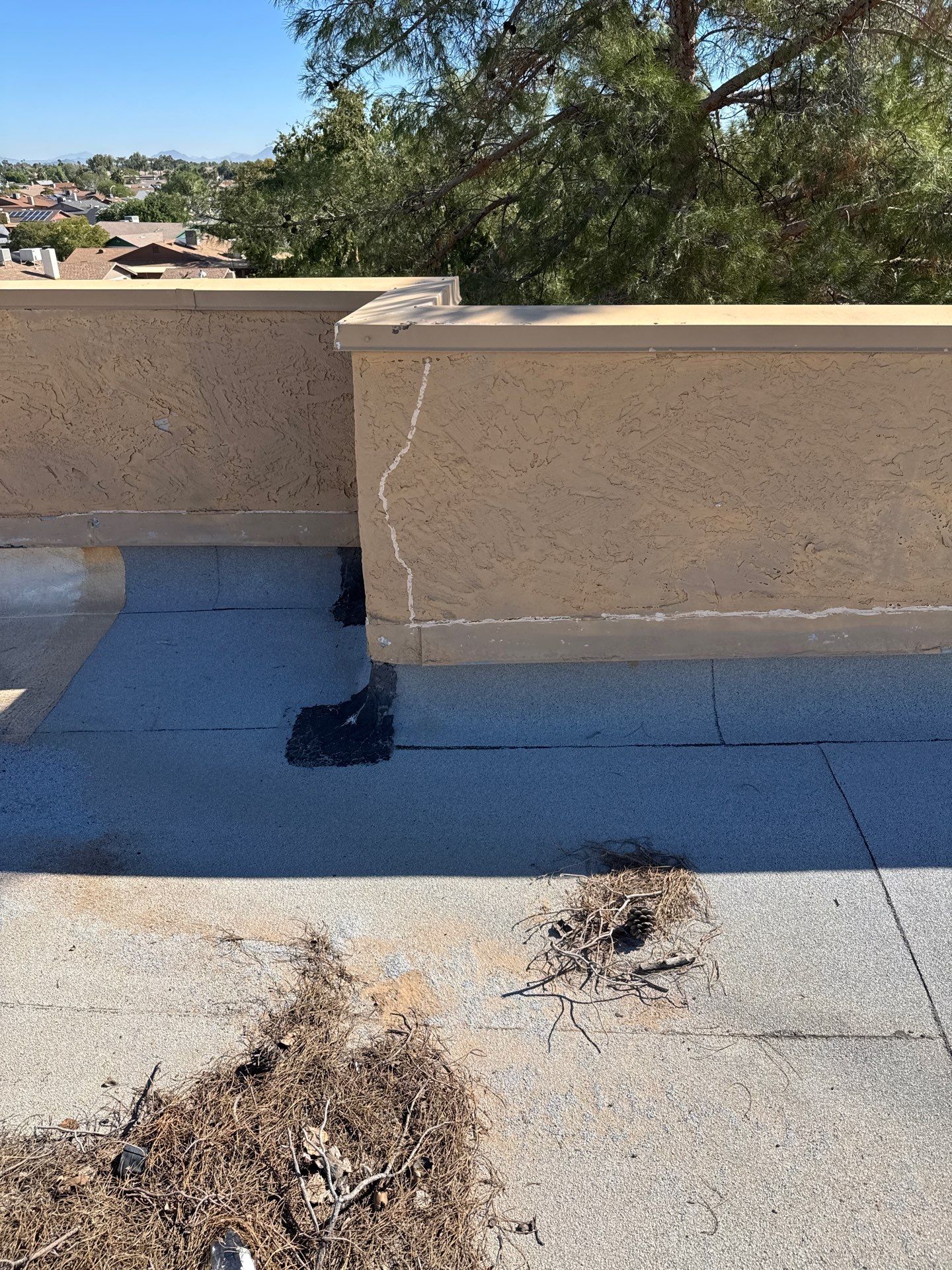 Project in Glendale by Crush Development Services LLC