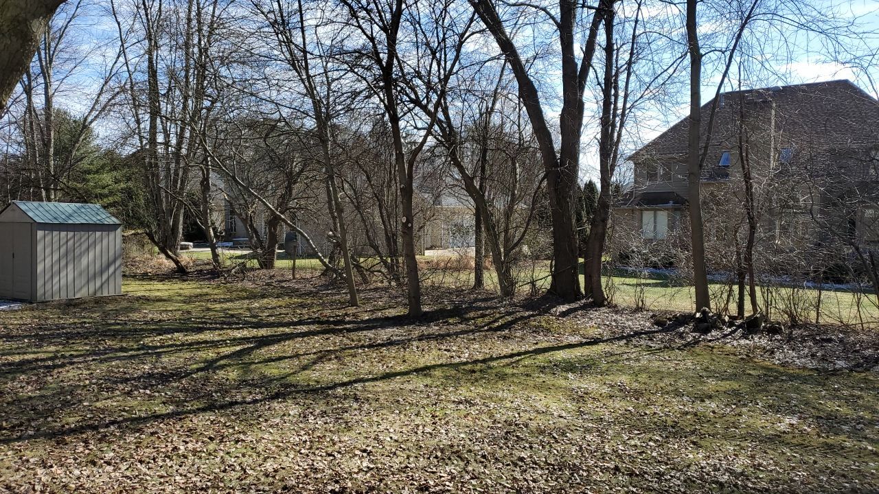 Tree Removal using Tree Removal by Mike Jones & Sons Tree Service LLC 