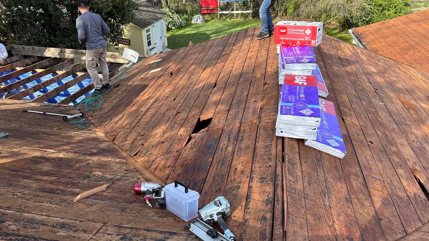 Willa Holmstock by NuLead Construction Inc