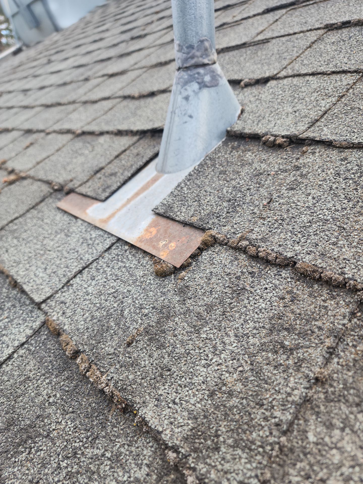 Roof Rejuvenation using Roof Maxx Treatment by Roof Maxx of Folsom