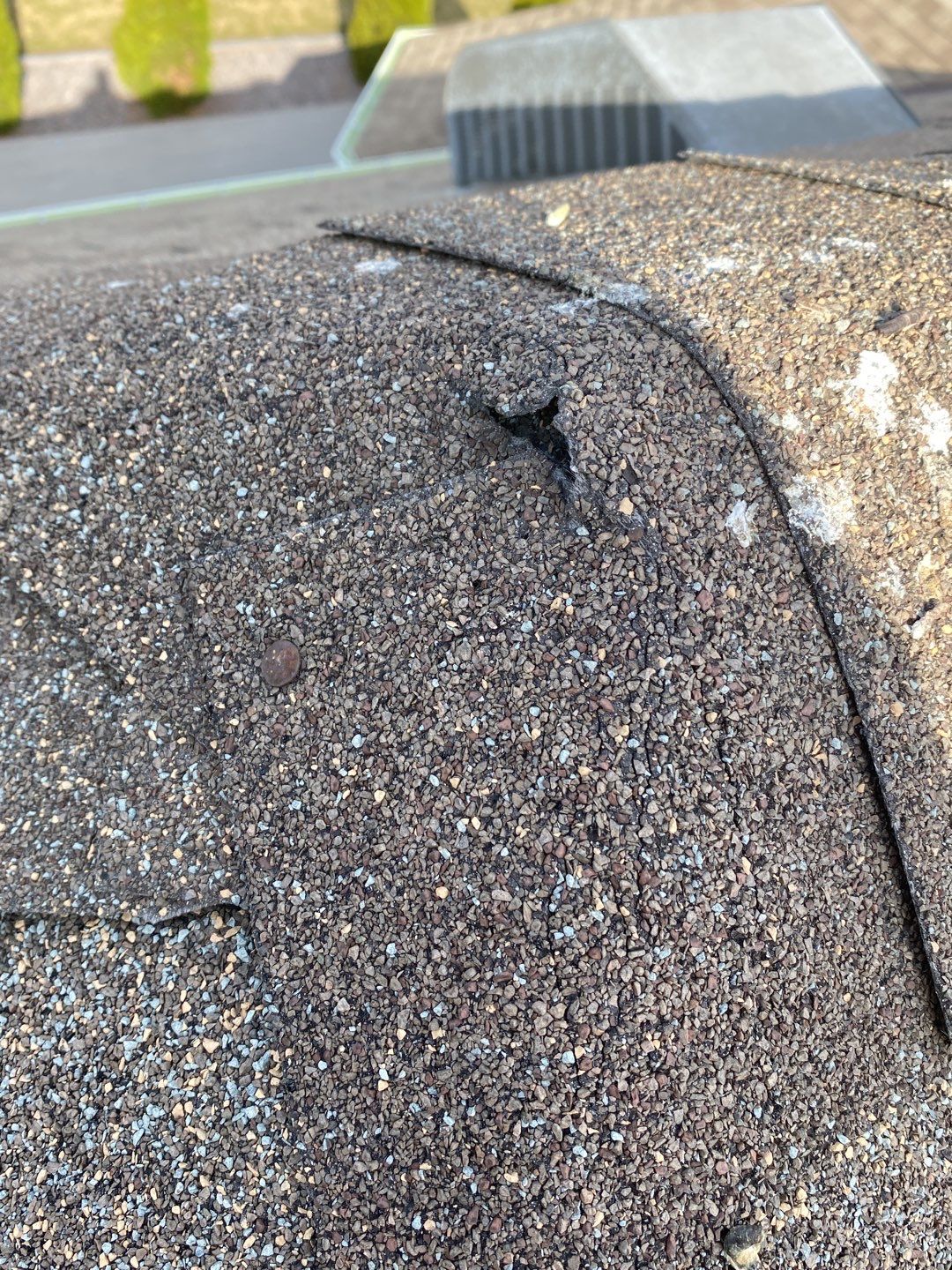 Saved The Life Of Another Roof. Don’t Prematurely Replace You Roof. by Save My Roof,LLC