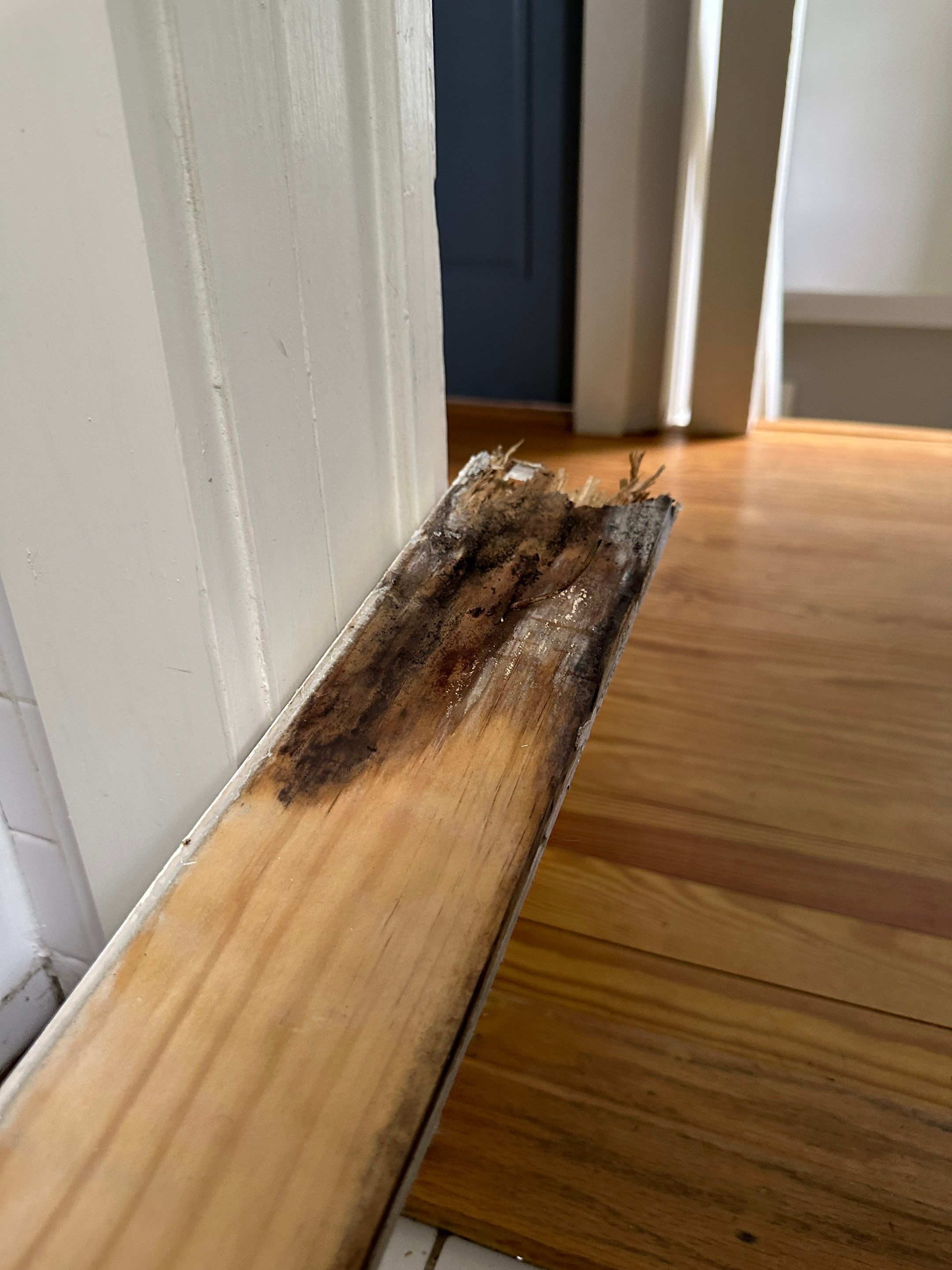 Full Home Remediation by Home Guarantee, LLC