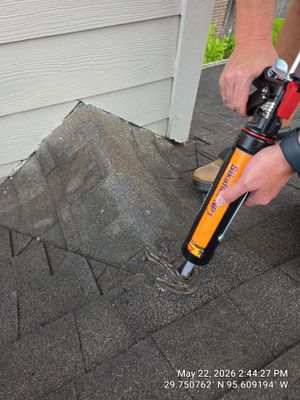 Project in Houston