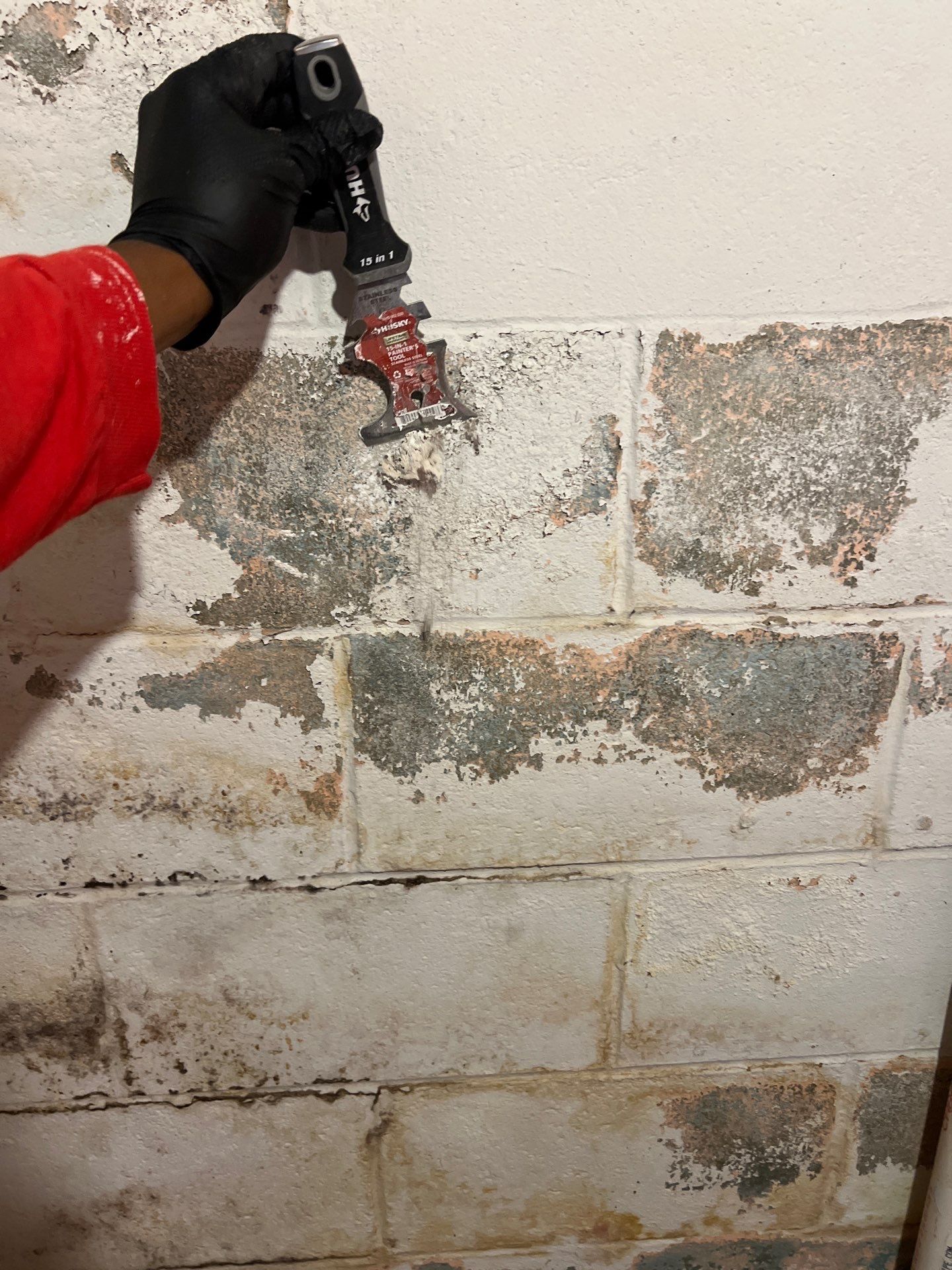 Phoenixville Basement Mold Remediation and Sanitation by Right On Time Restoration