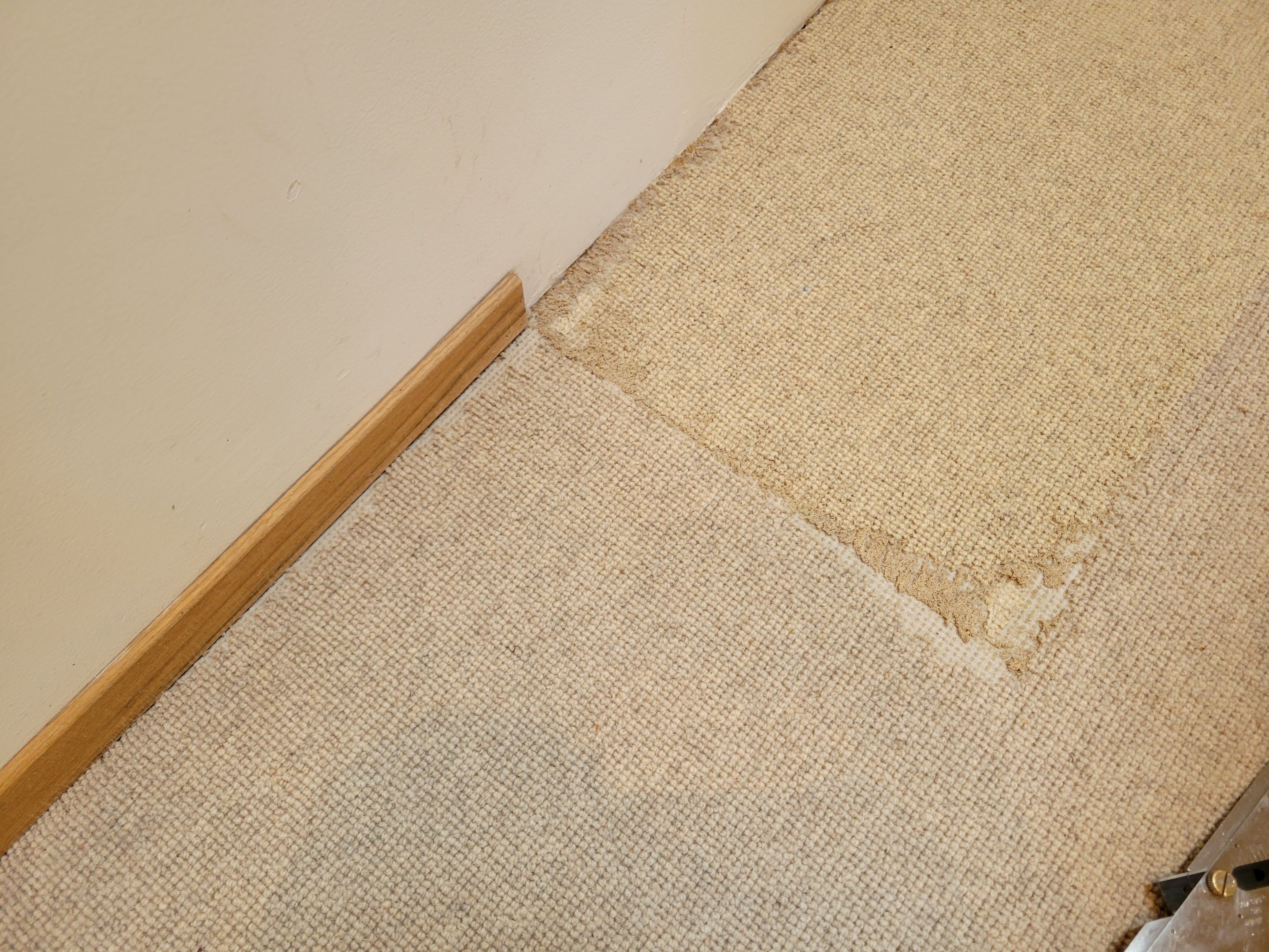 Repair and Cleaning of Wool Carpeting by Ardent Carpet Restore LLC