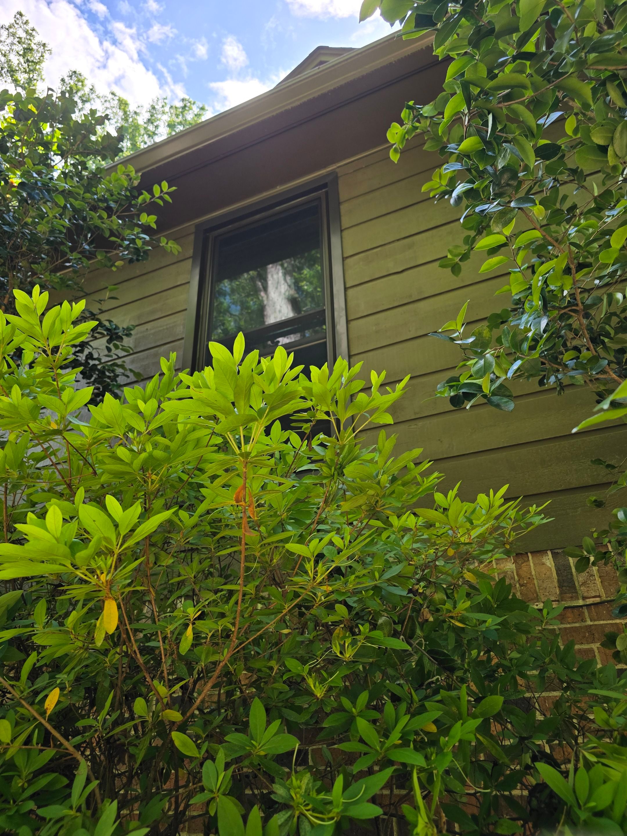 Garner Project in Birmingham by The Window Source