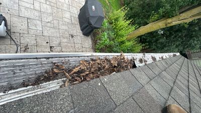 Turtle Shell gutter protection installation in Naperville, IL 60540, photograph 13