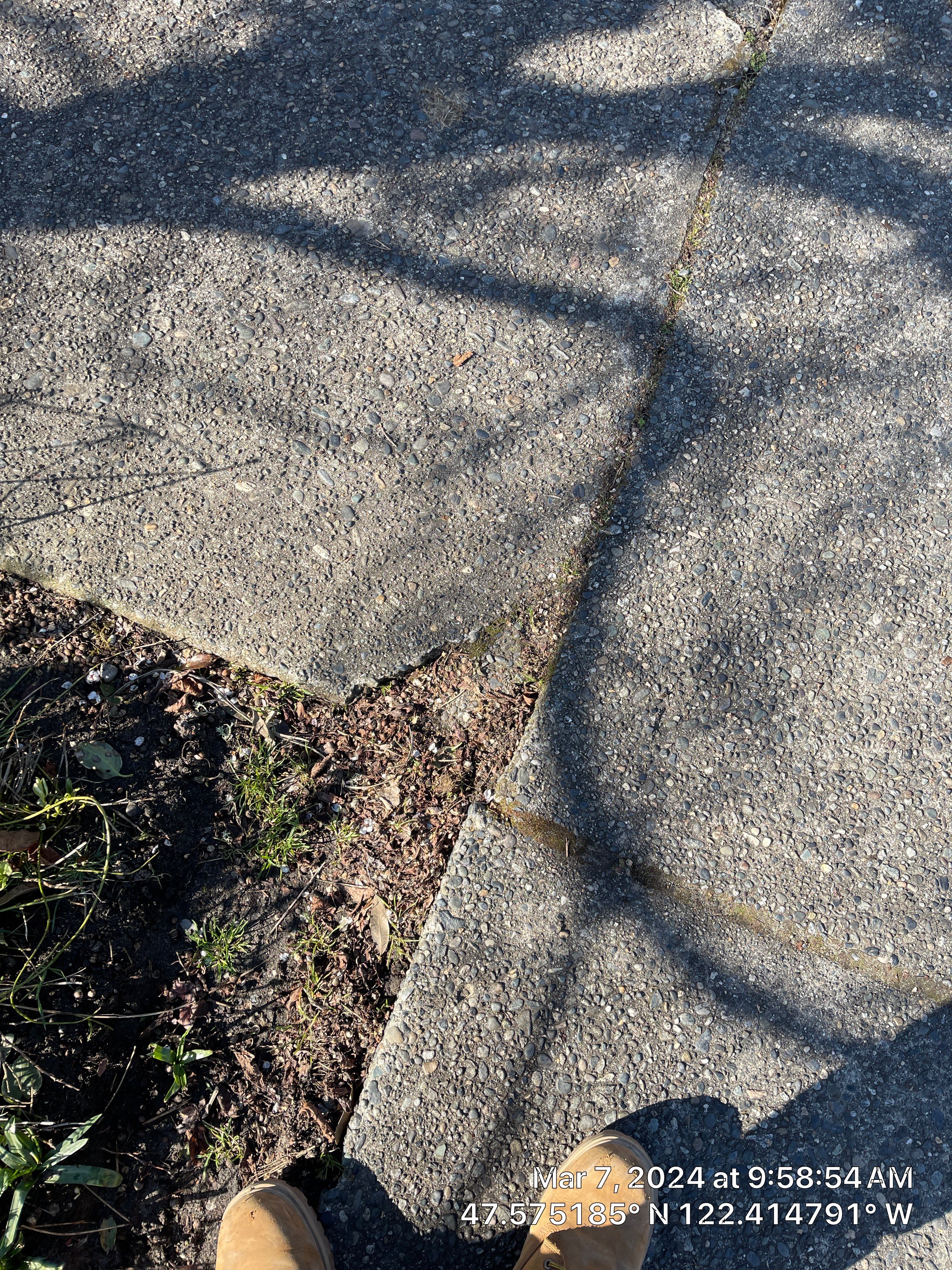 Ron | Pervious Concrete Driveway  by Jireh Asphalt & Concrete Inc 