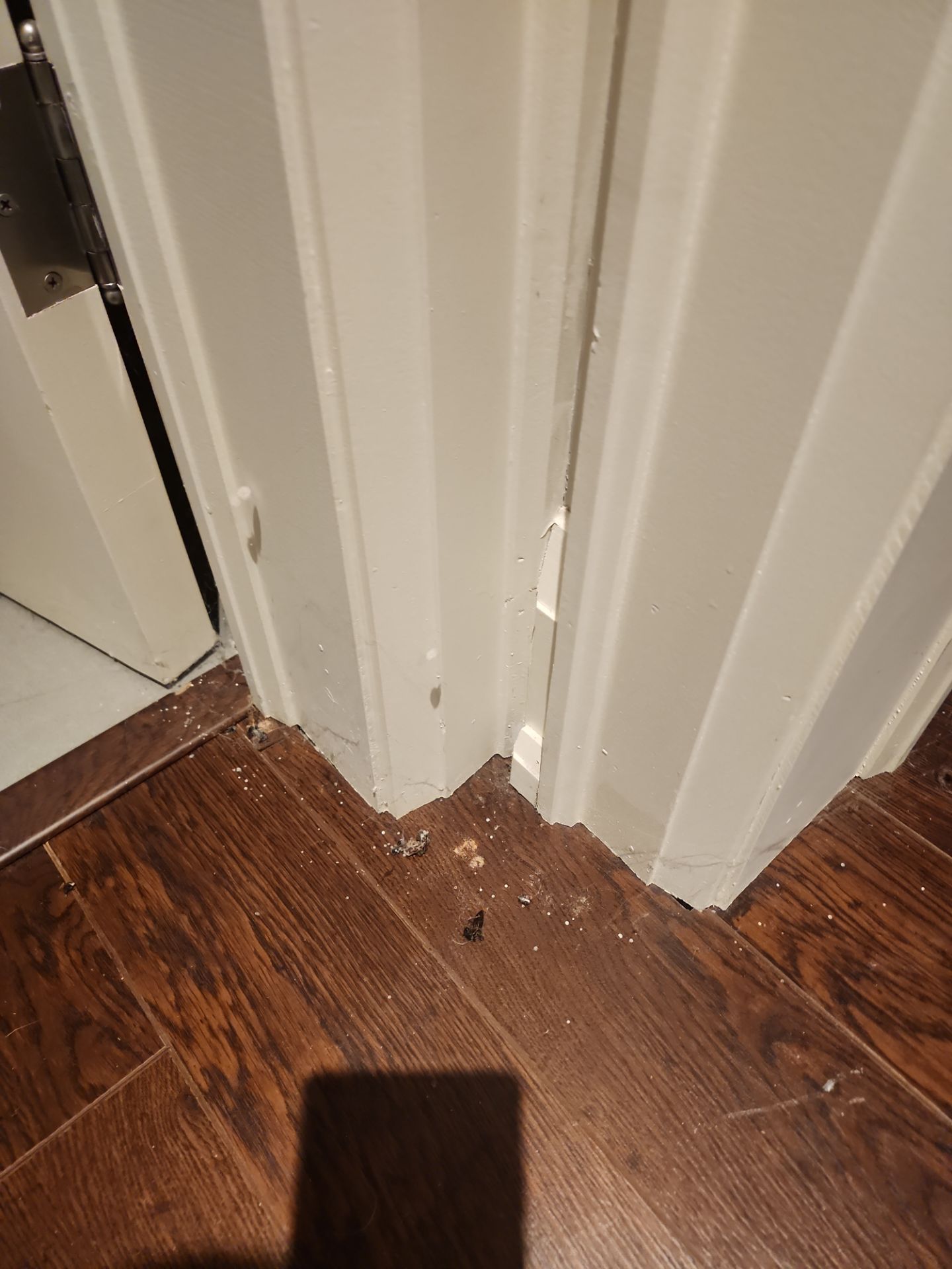 Project in Toronto by GTA HOME PAINTING