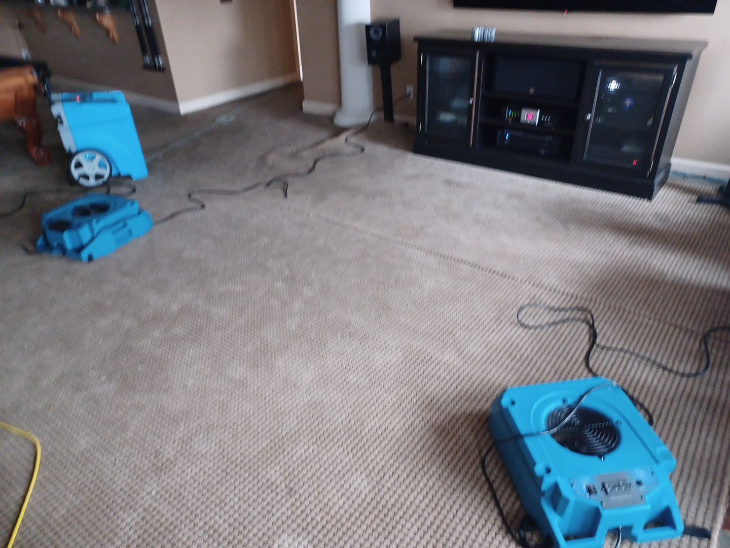 Project in Commerce Charter Twp by EzDry Water Mitigation & Property Restoration