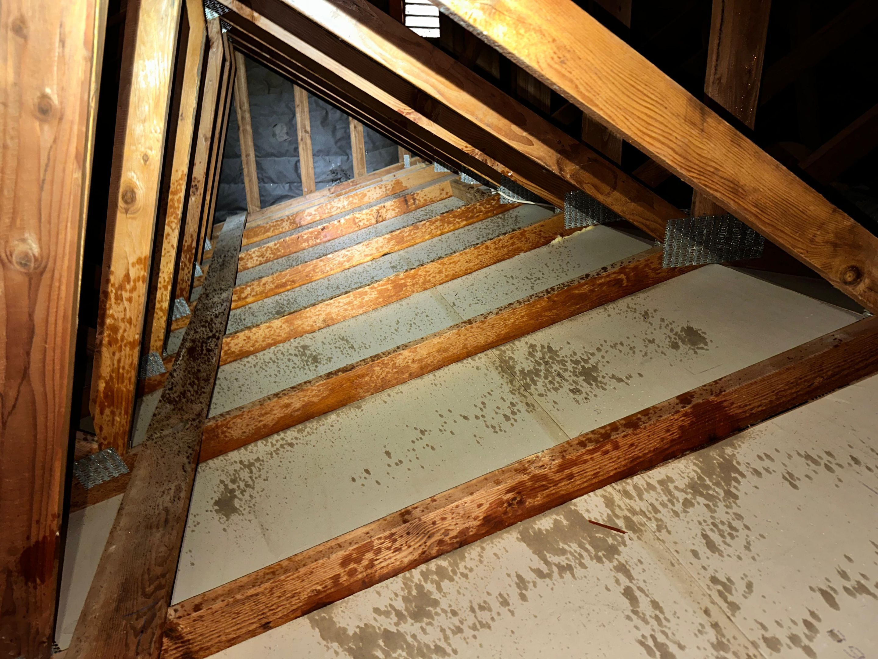 Project in Corona by Insulation Labs