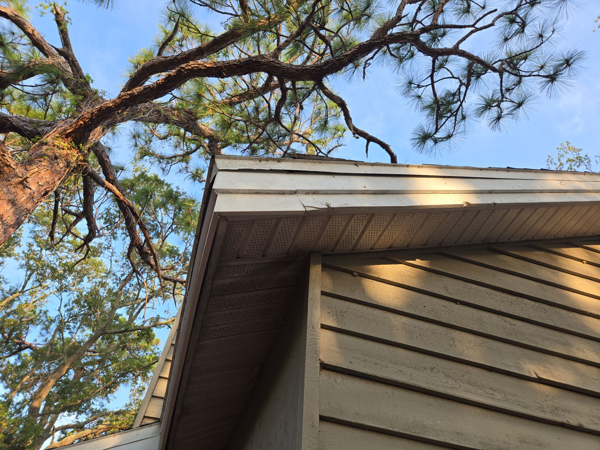 Project in Clearwater 33760 by Mitchell Roofing Company LLC 