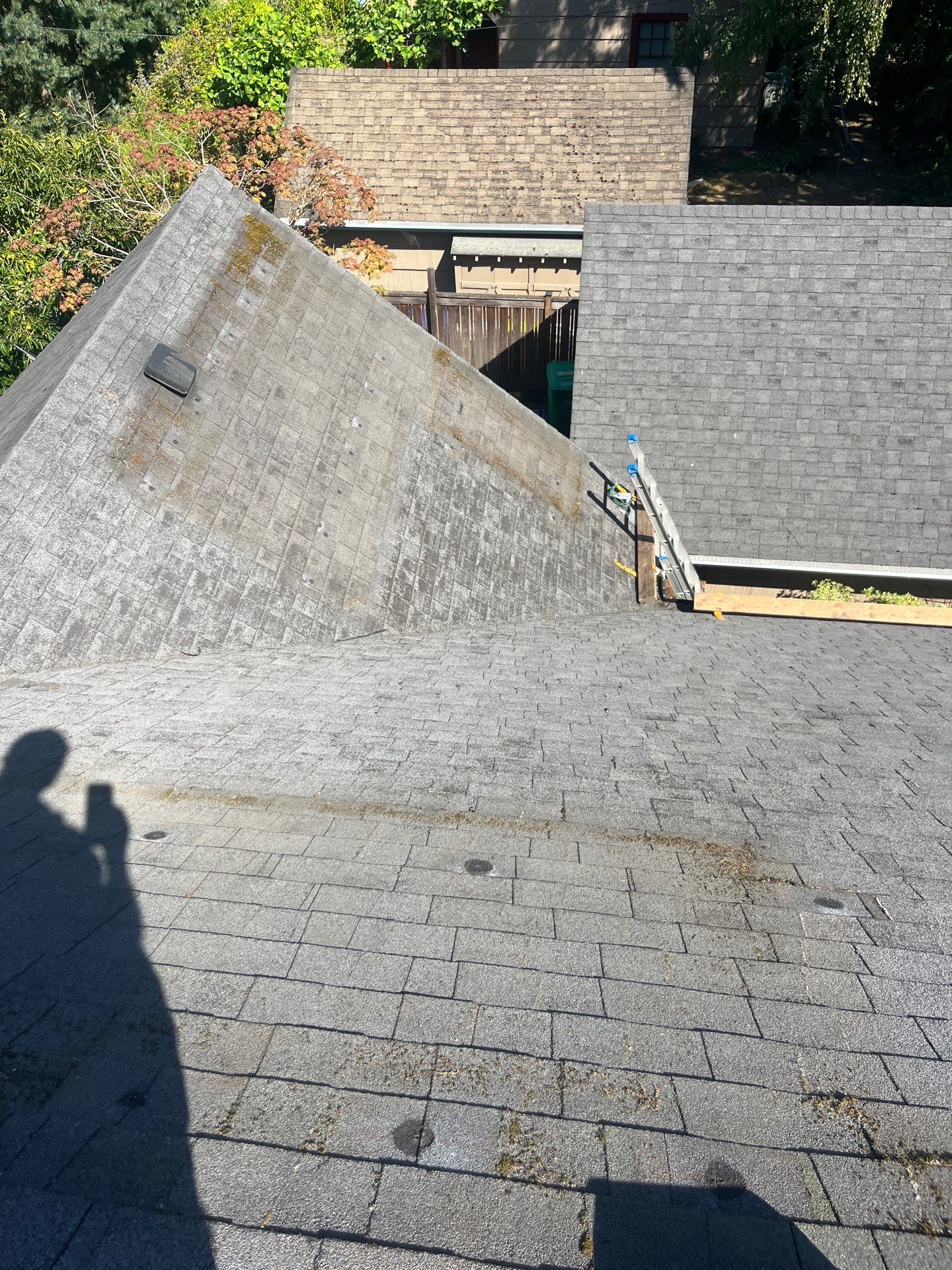 Project in Portland by Tom Leach Roofing
