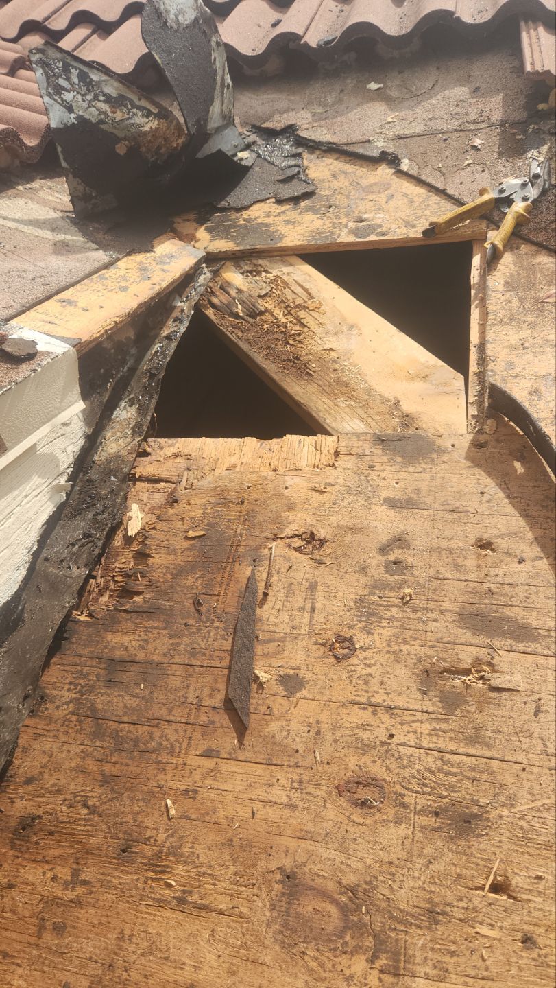 Clay Tile Roof Leak Repair and Sheathing Replacement in Hollywood by Aastro Roofing