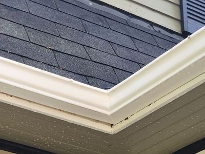 Gutter cleanup