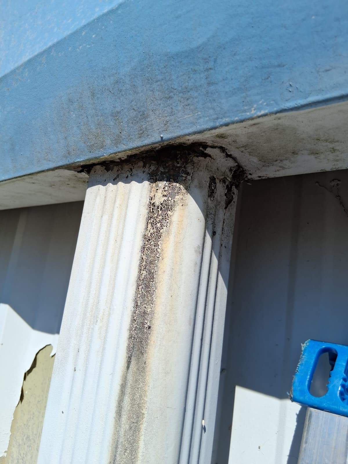 Clean Gutters and Seal Seams in Lakeland FL by Gutter Professors