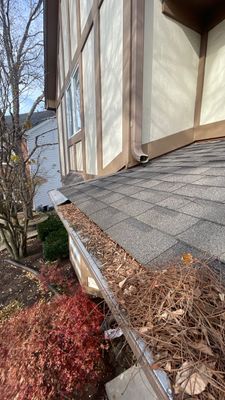 Turtle Shell gutter protection installation in Naperville, IL 60565, photograph 5