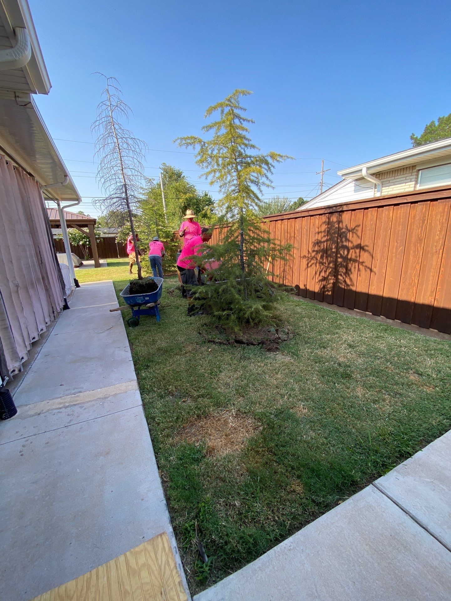 Landscape using Crepe Myrtle Plant by Clays Services Inc