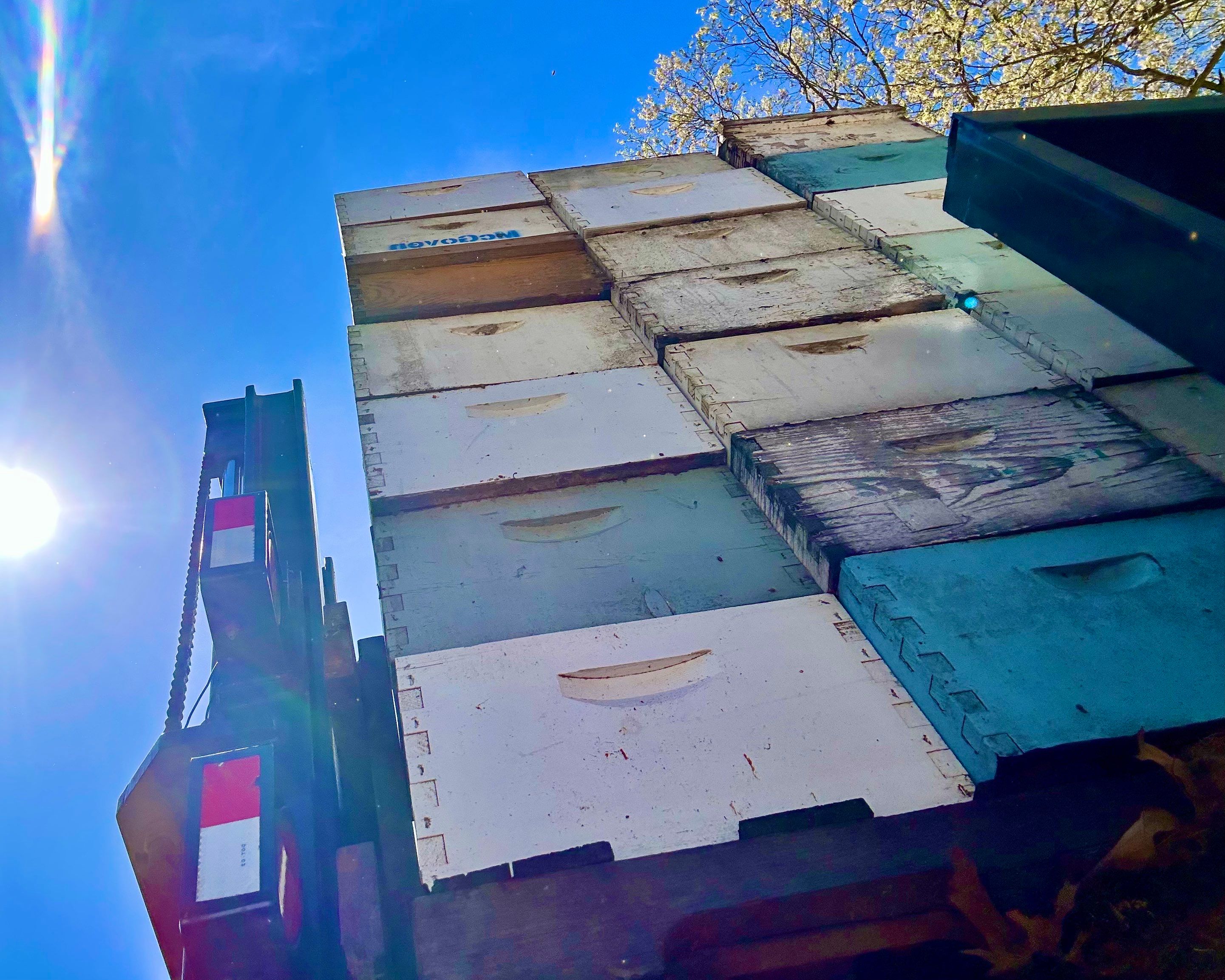 BeeGirl ETX HQ by Rockwall Honey Bee Company