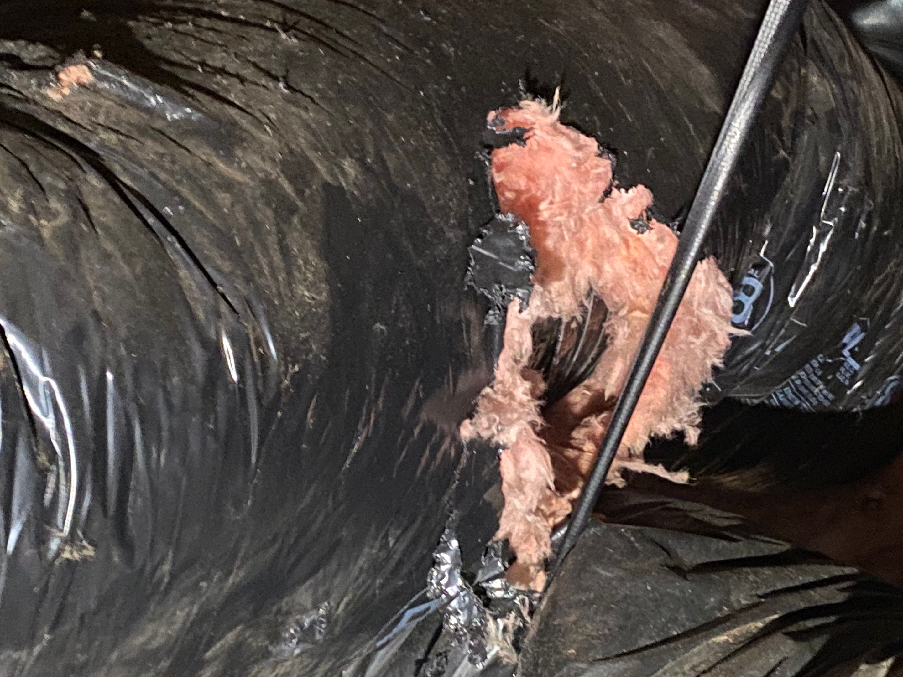 Crawlspace Transformation by Hausmeister Home Services INC