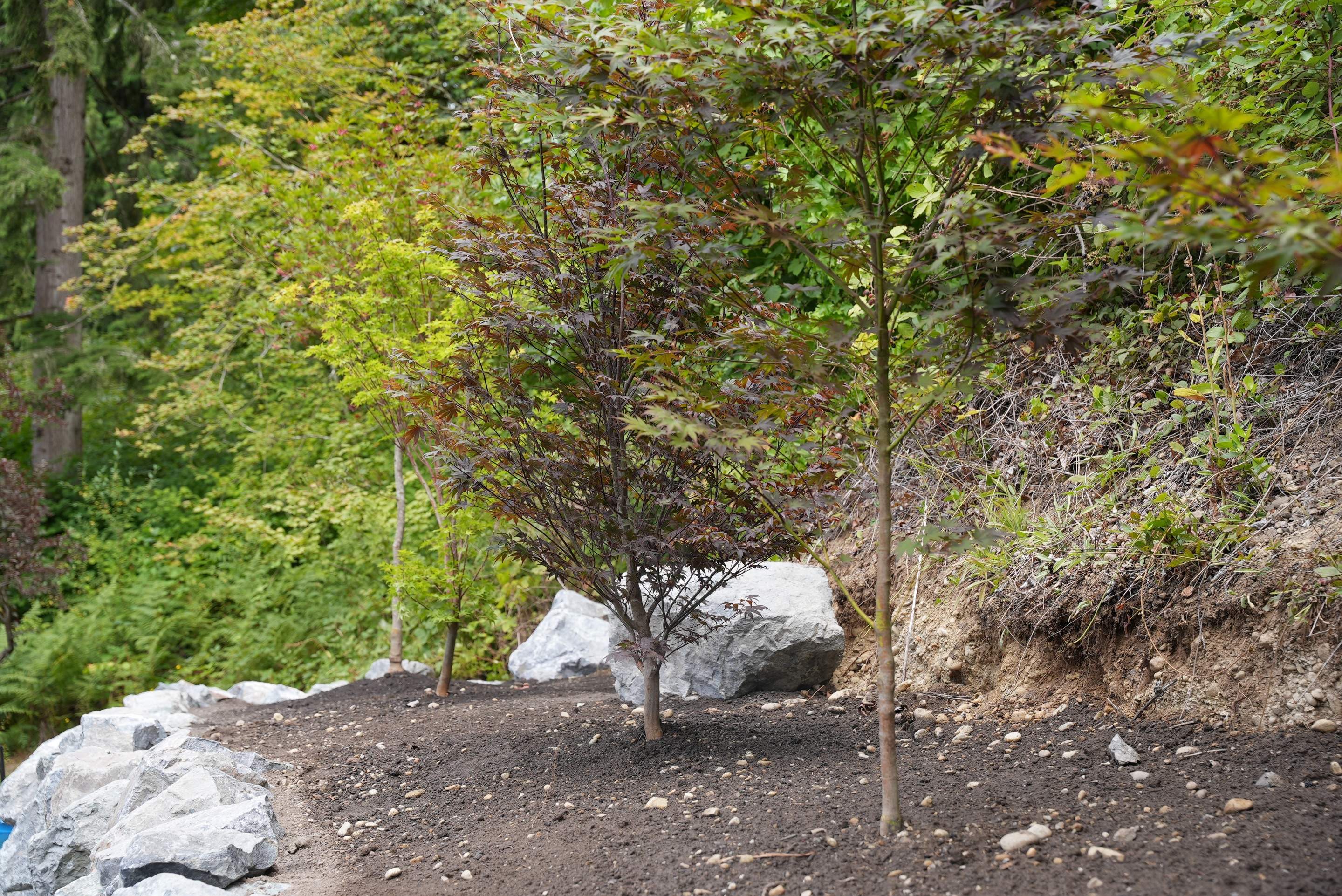 Jim | Rockery Wall, Landscaping, Road Repair & Sealcoating by Jireh Asphalt & Concrete Inc 