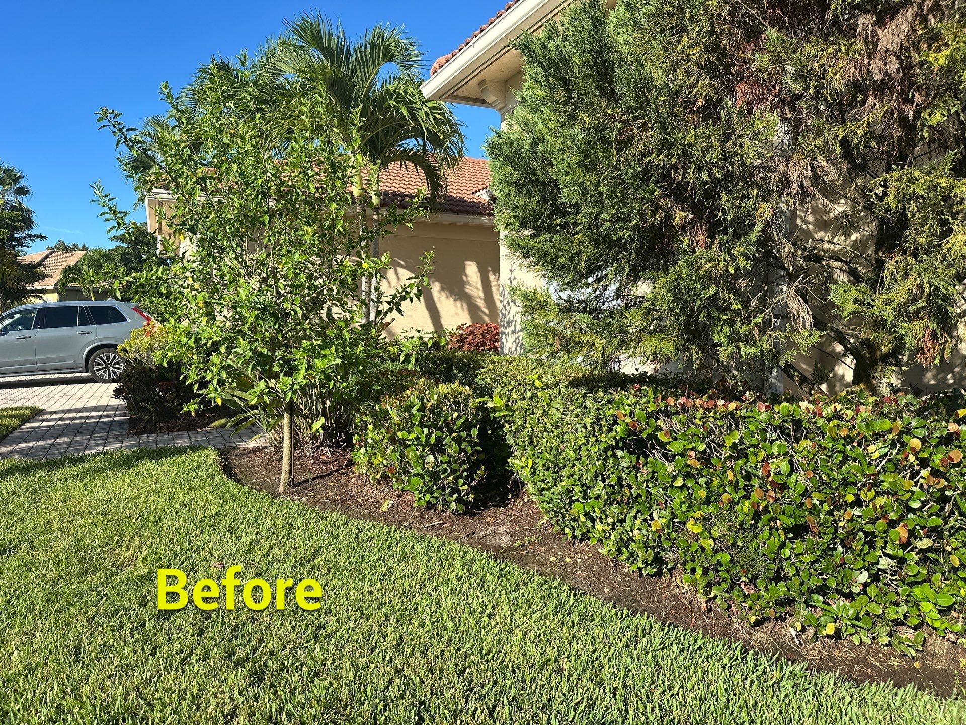 From Overgrown to Picture-Perfect - Stuart Refresh by Alpha Zeta Enterprises Inc
