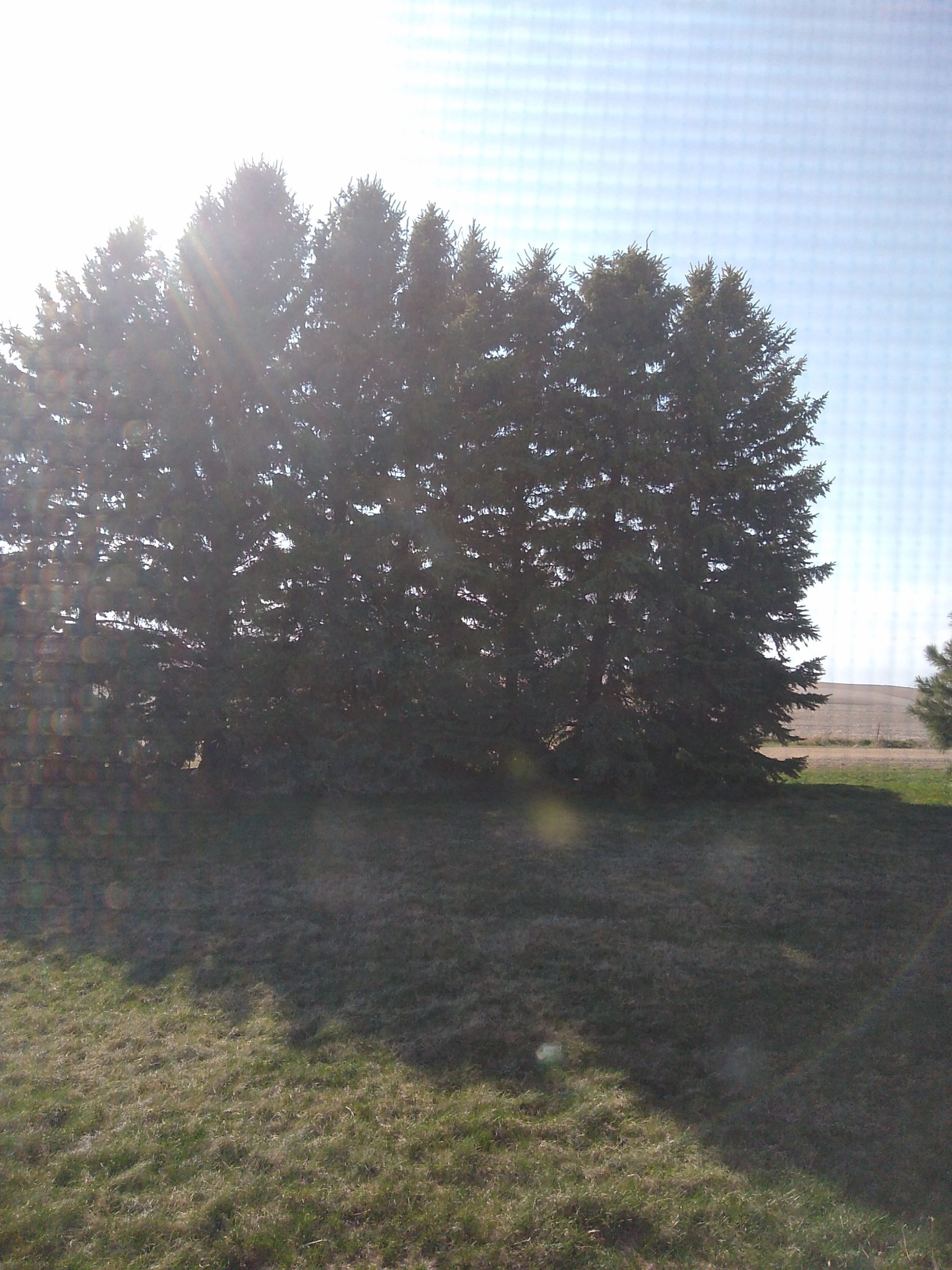 Test Project For Demonstration Purposes by CompanyCam