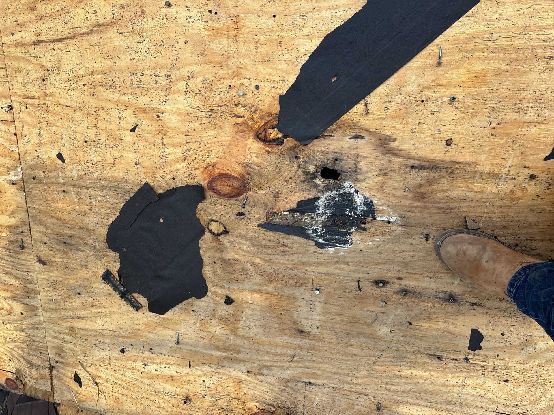 Roof Replacement Spring by Roof Repair Company