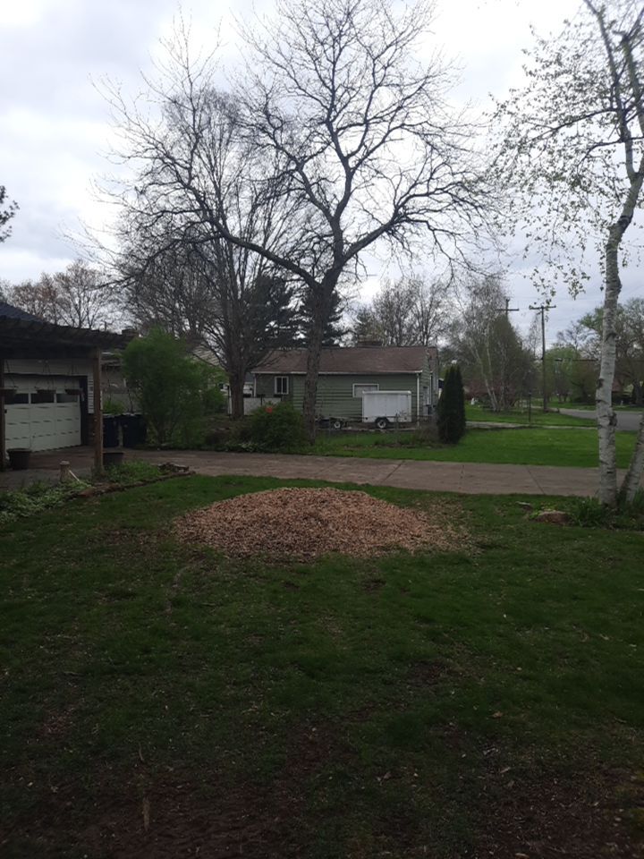 Tree Removal using Tree Removal by Mike Jones & Sons Tree Service LLC 