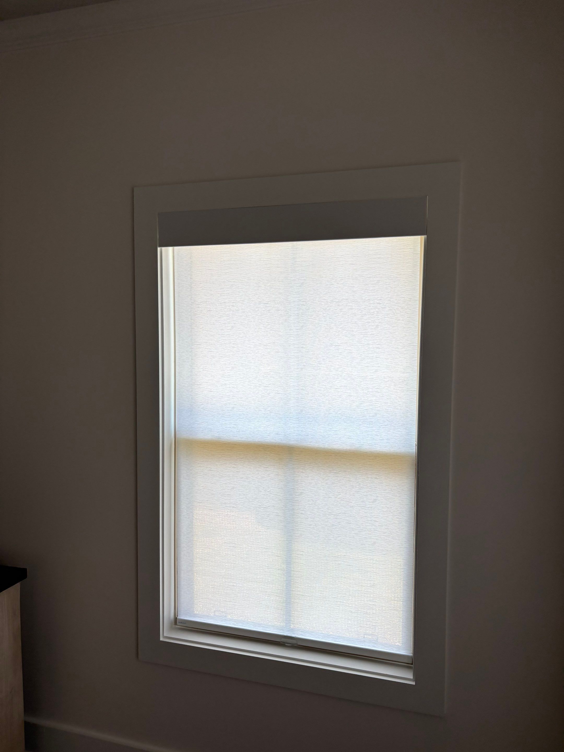 Roller Shade Project in Madison by Blinds and Borders
