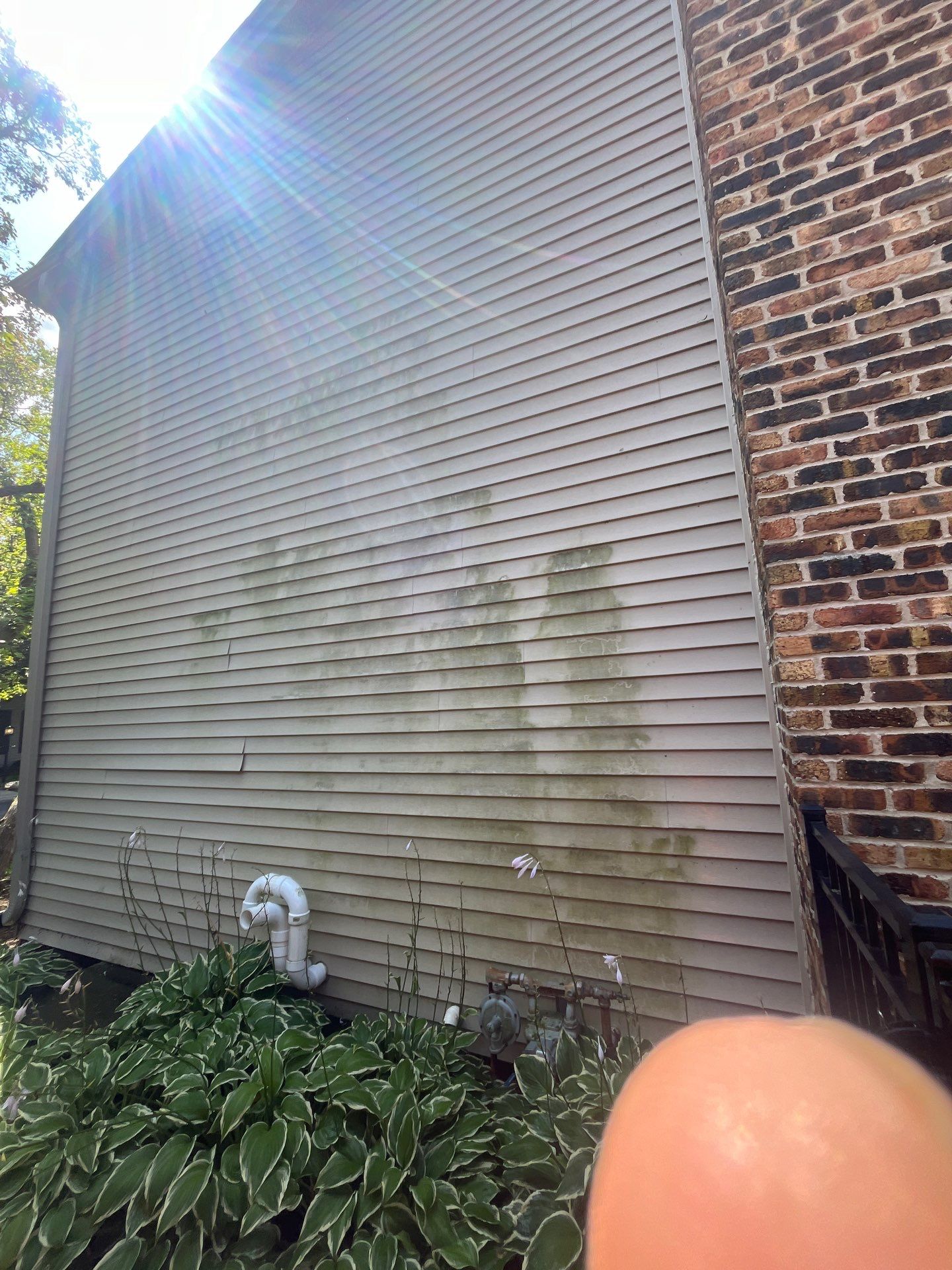 Housewashing  using Algaecide, soft wash soap by Northern Power Washing LLC.