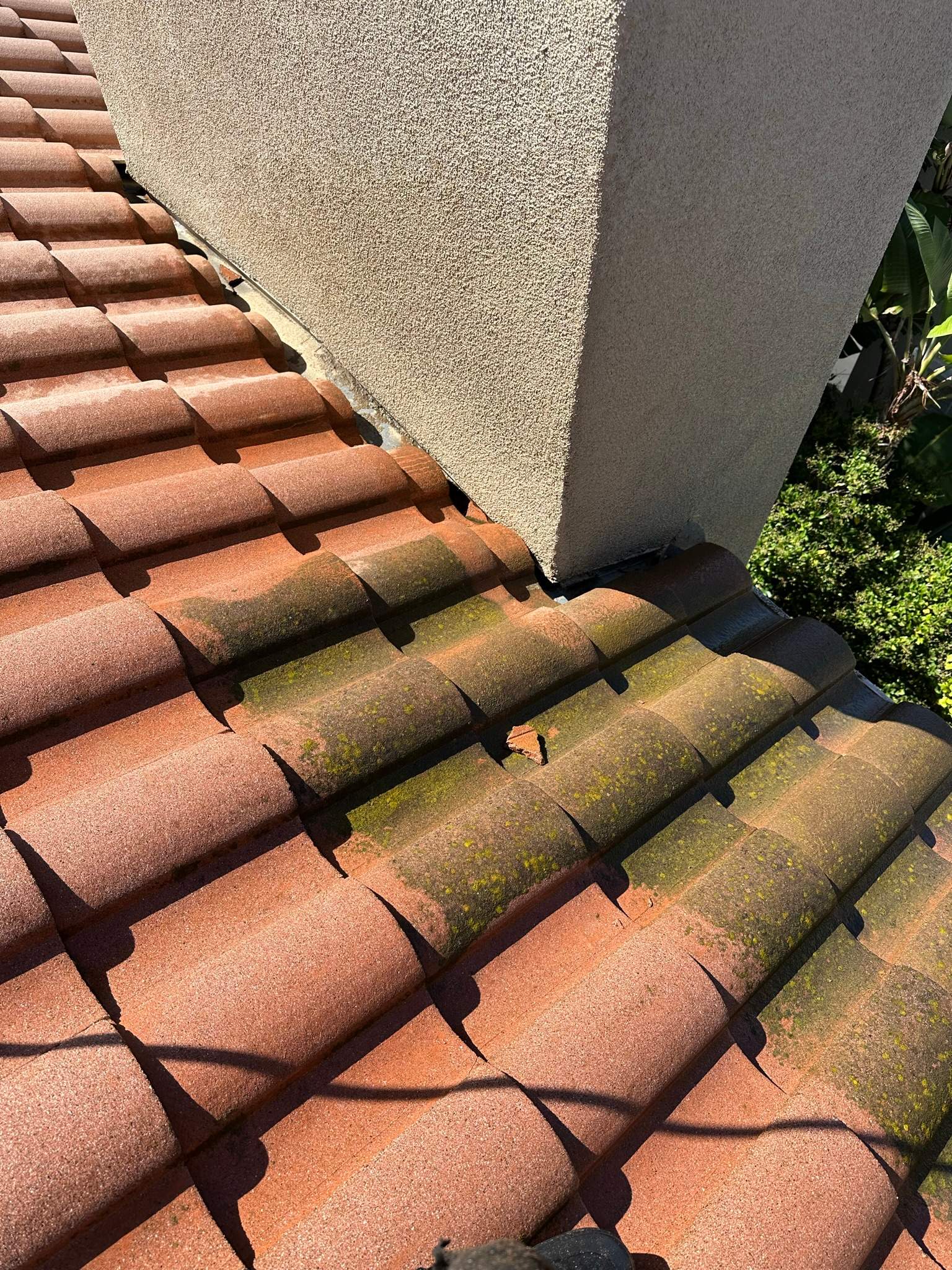 Roof wash on this dirty roof covered in algae by Property Cleaning Experts, LLC