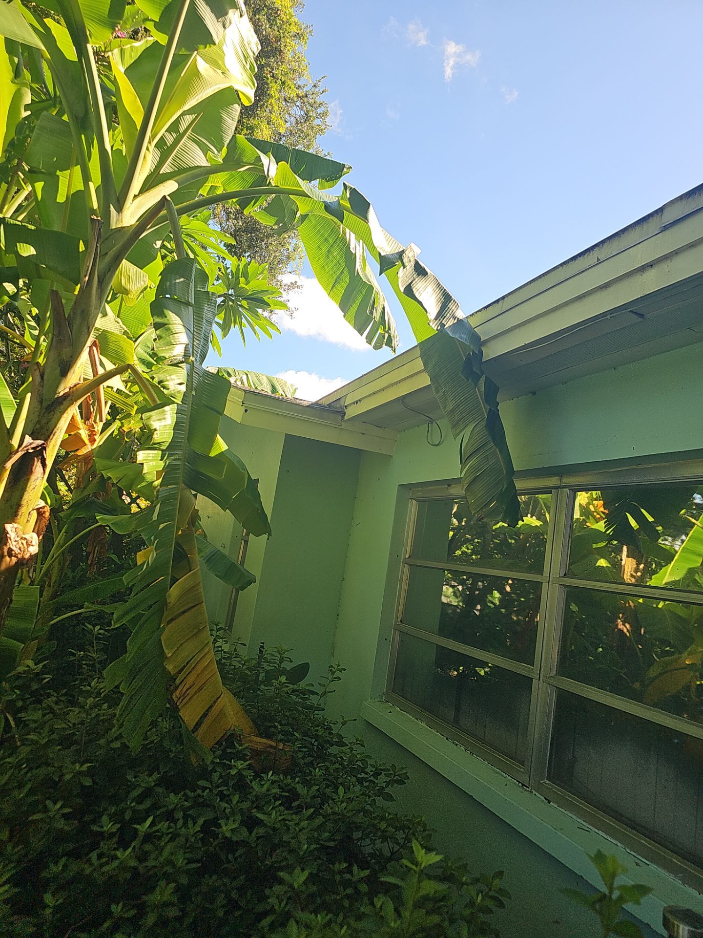 Project in Clearwater 33764 by Mitchell Roofing Company LLC 