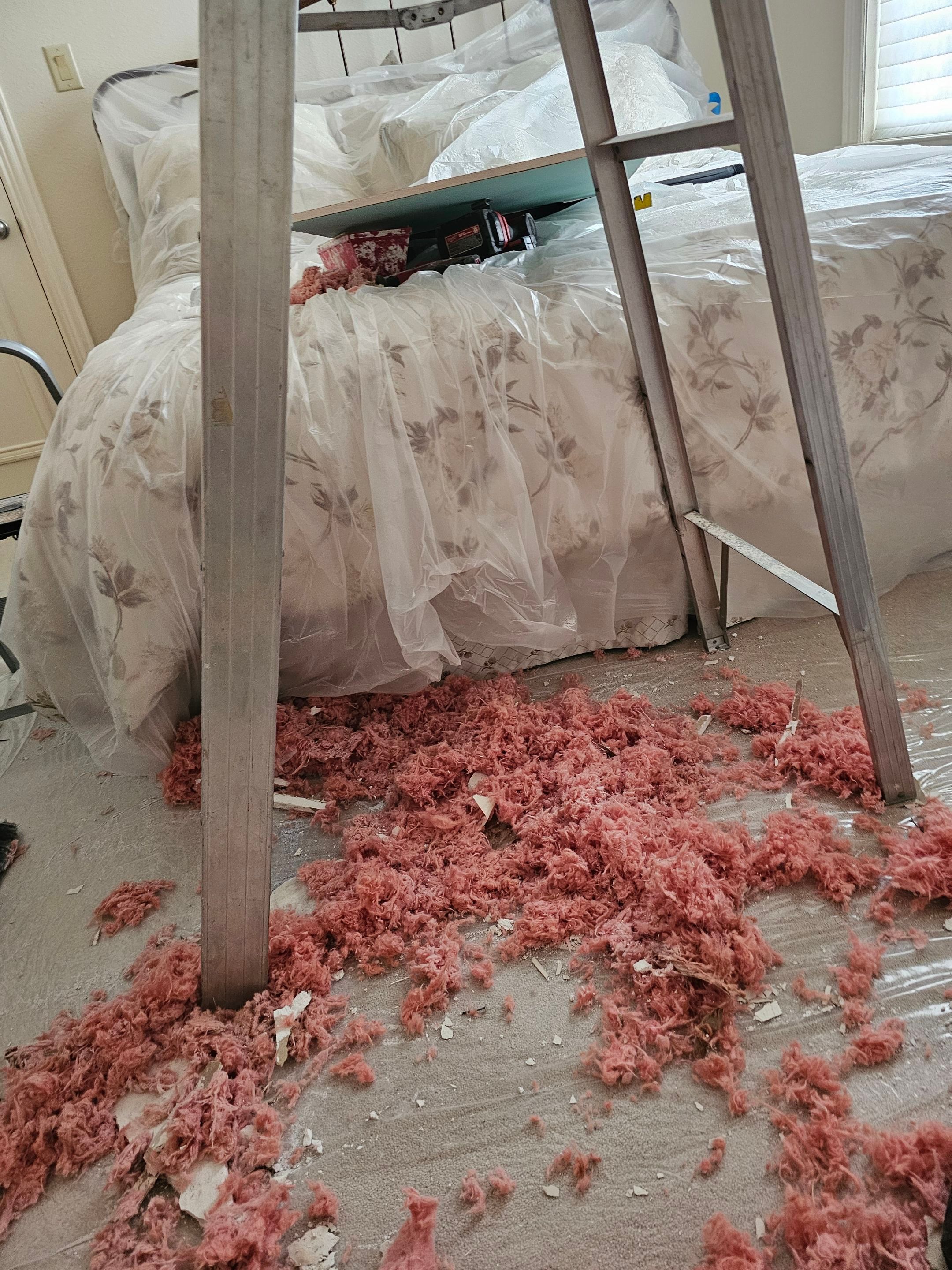 Exterior & interior paint, Garage door repairs, roof replacement & leak repairs by EL-GC LLC 