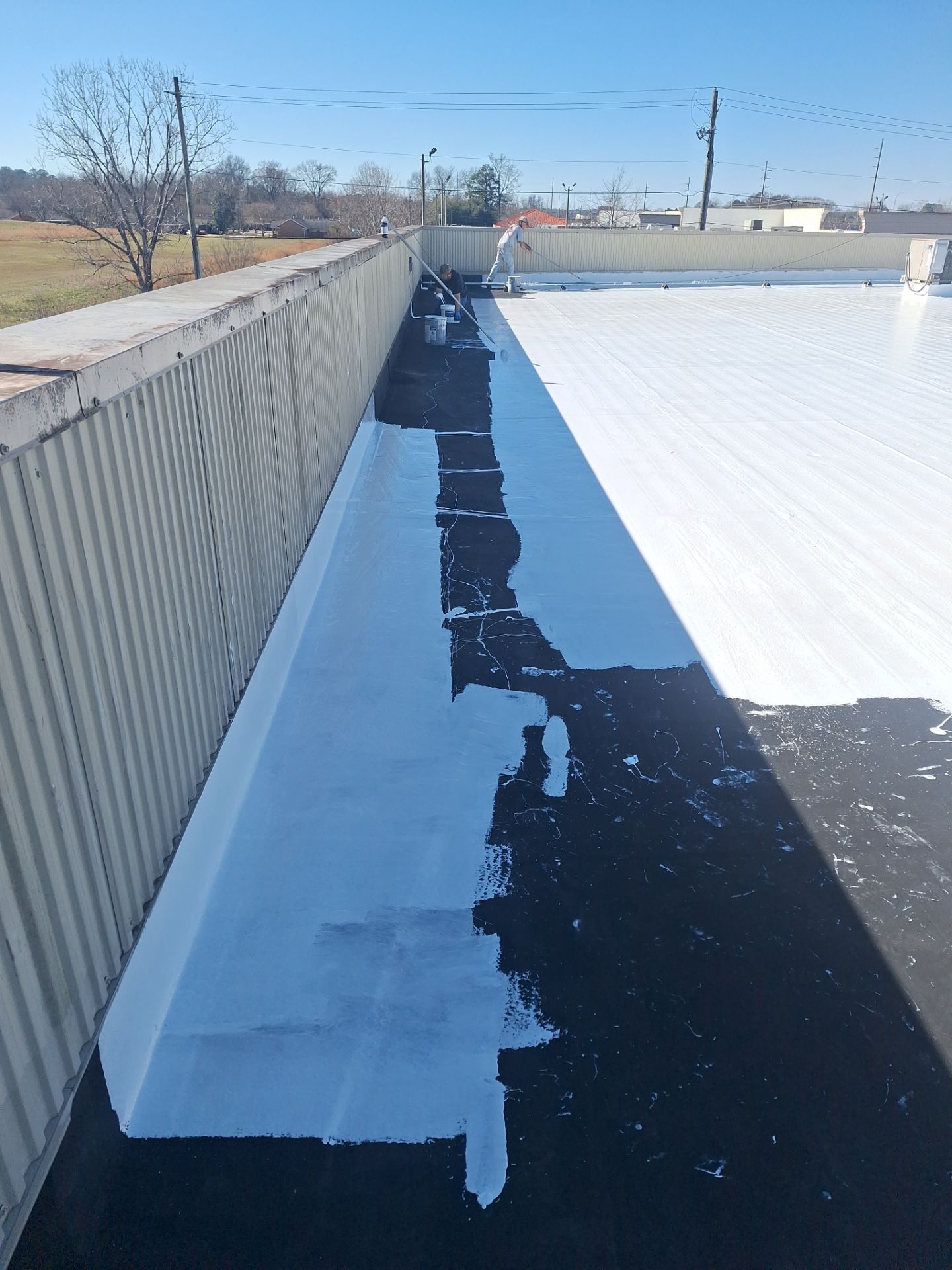 E&S Mens Warehouse  by iGreen Solutions