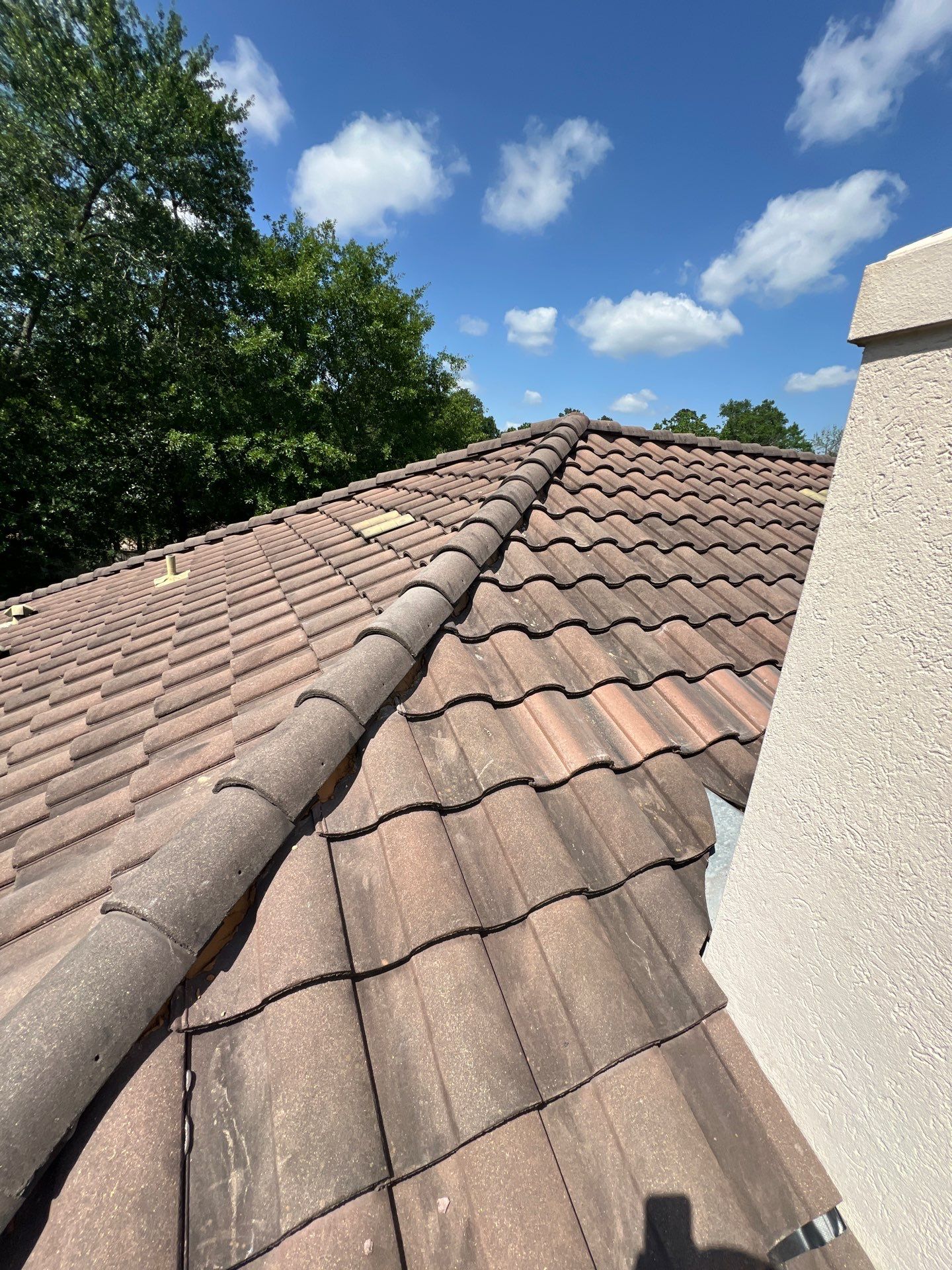 Roof Repair Spring by Roof Repair Company