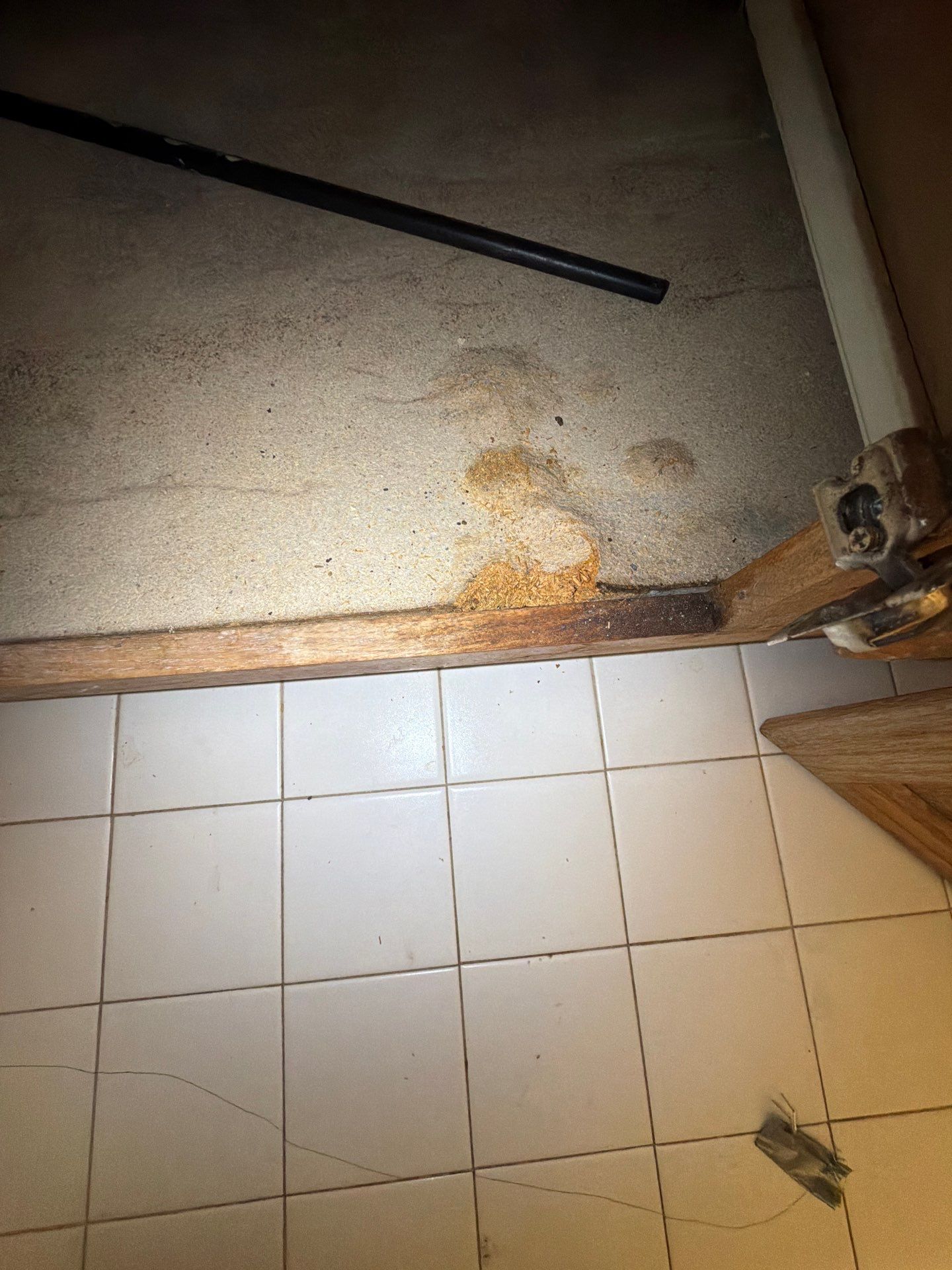Project in Springfield by Restoration Doctor