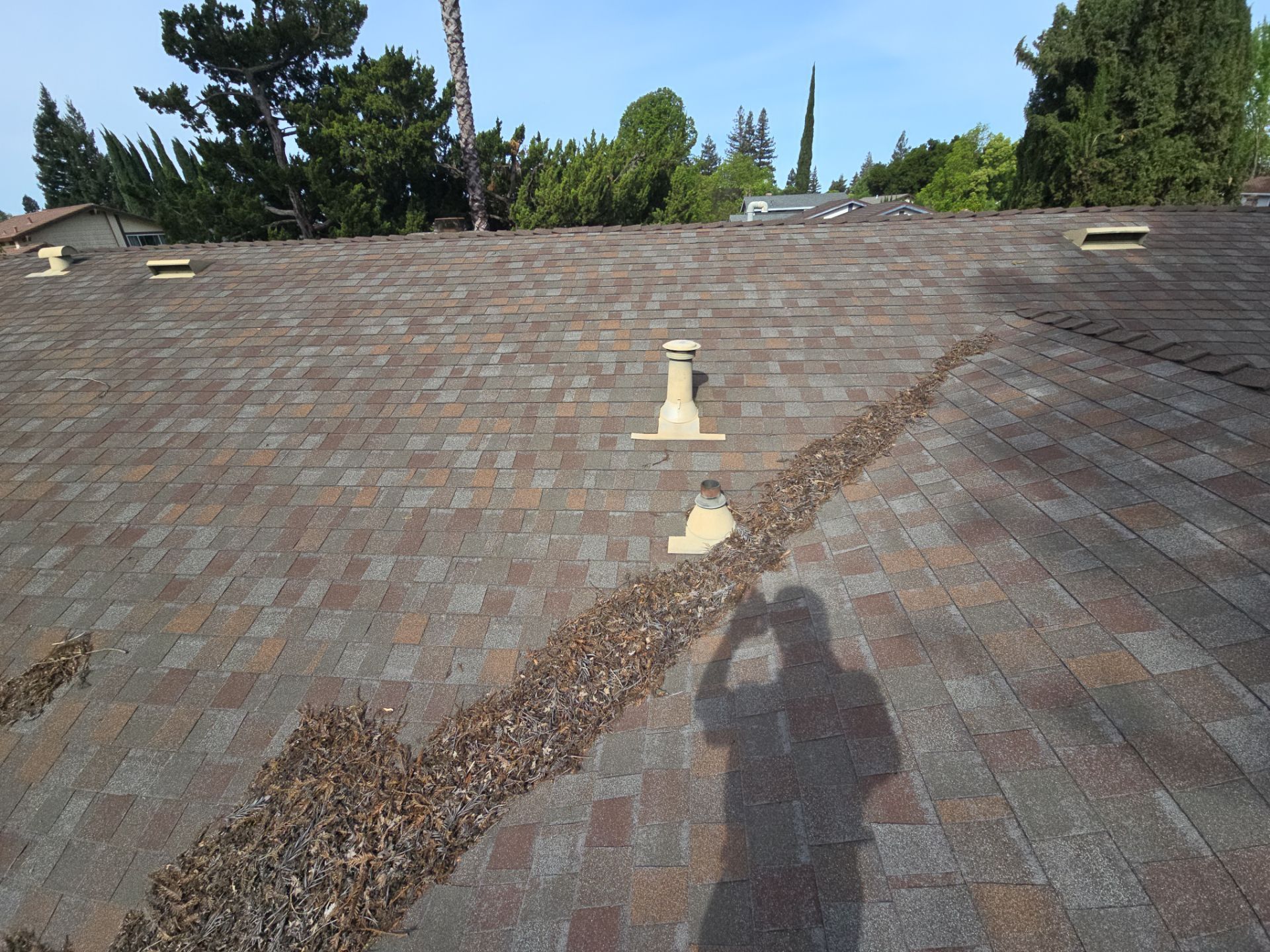 Roof Rejuvenation using Roof Maxx Treatment by Roof Maxx of Folsom