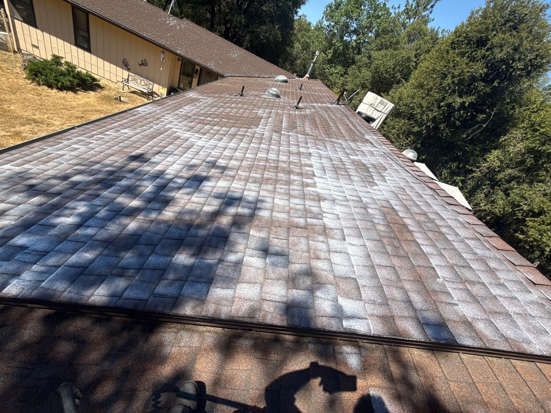 Roof Rejuvenation using Roof Maxx Treatment by Roof Maxx of Folsom