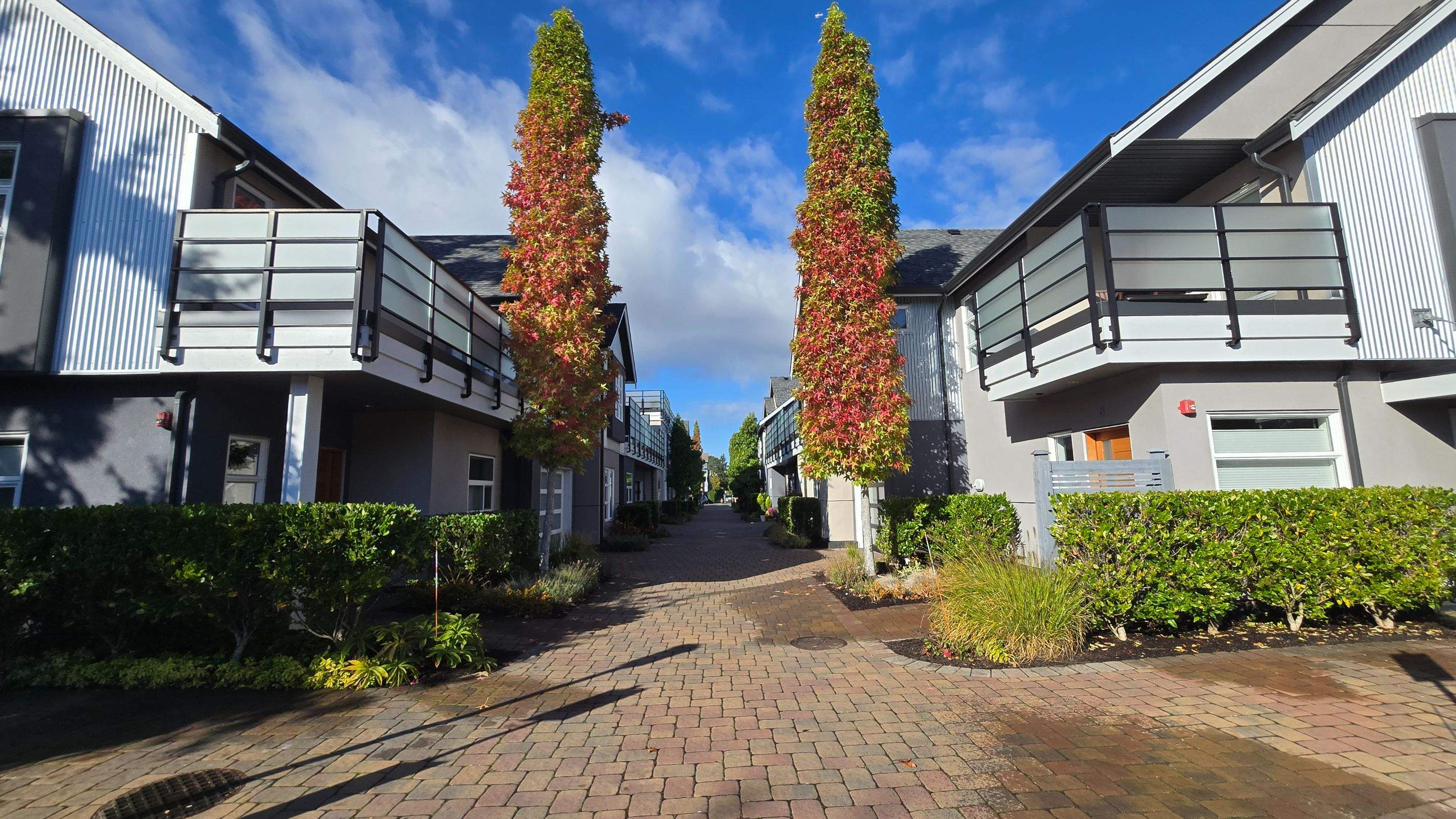 Sea Haven — Year-Round Strata Landscape Care by Habanero Landscape Solutions