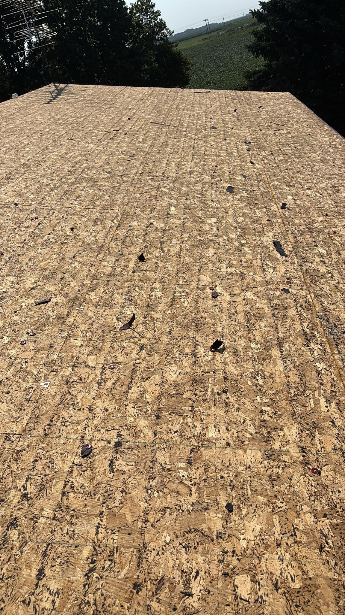 HailGuard Roofing System Replacement – Lexington by Loyal Nine