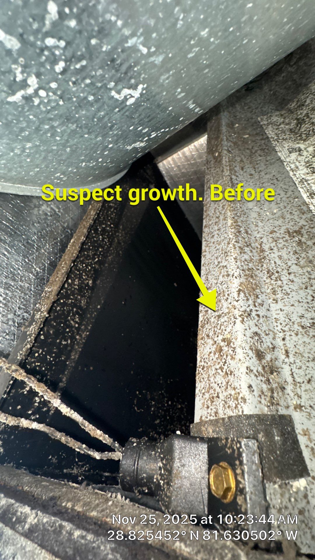 Air Duct Cleaning in Mount Dora by Hygienic Air, Inc