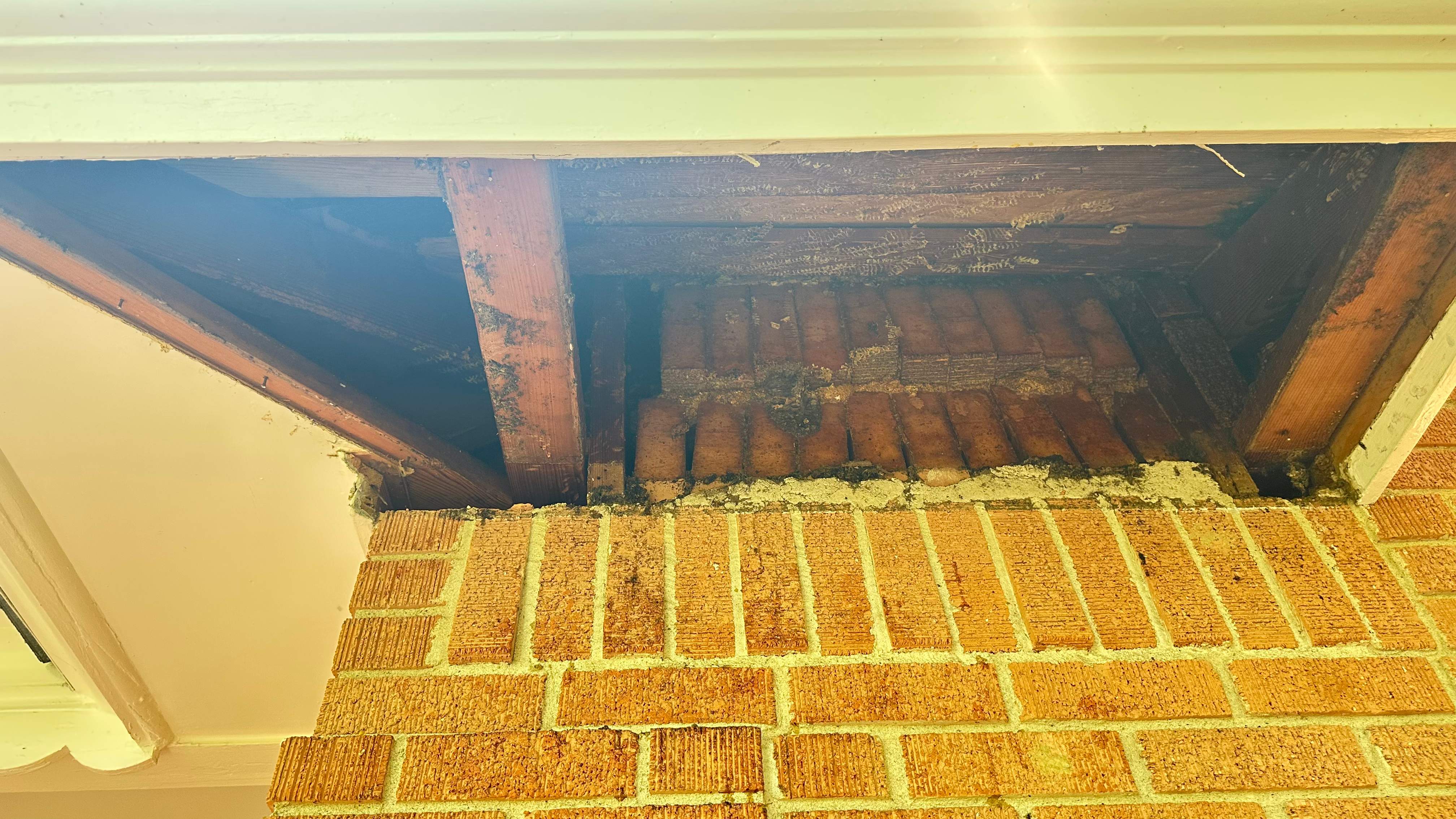 Long-term Residents by Rockwall Honey Bee Company