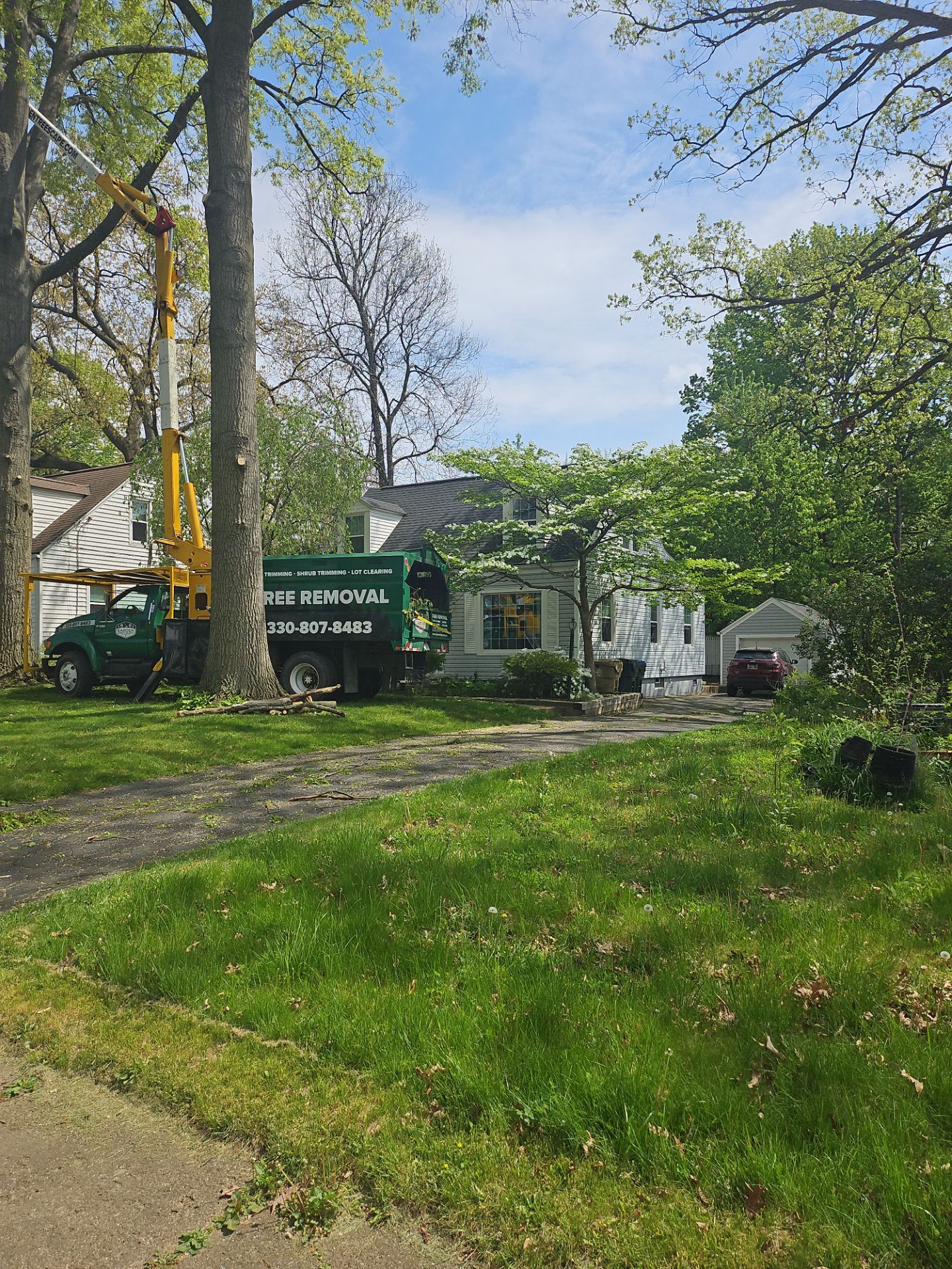 Tree Trimming using Tree Pruing by Mike Jones & Sons Tree Service LLC 
