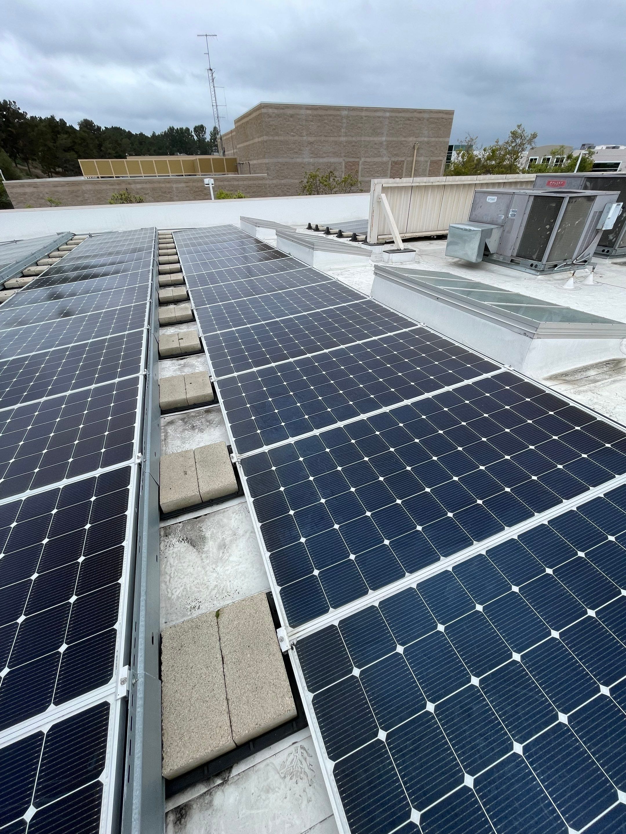 Commercial Solar Cleaning by Palm Coast Solar Cleaning